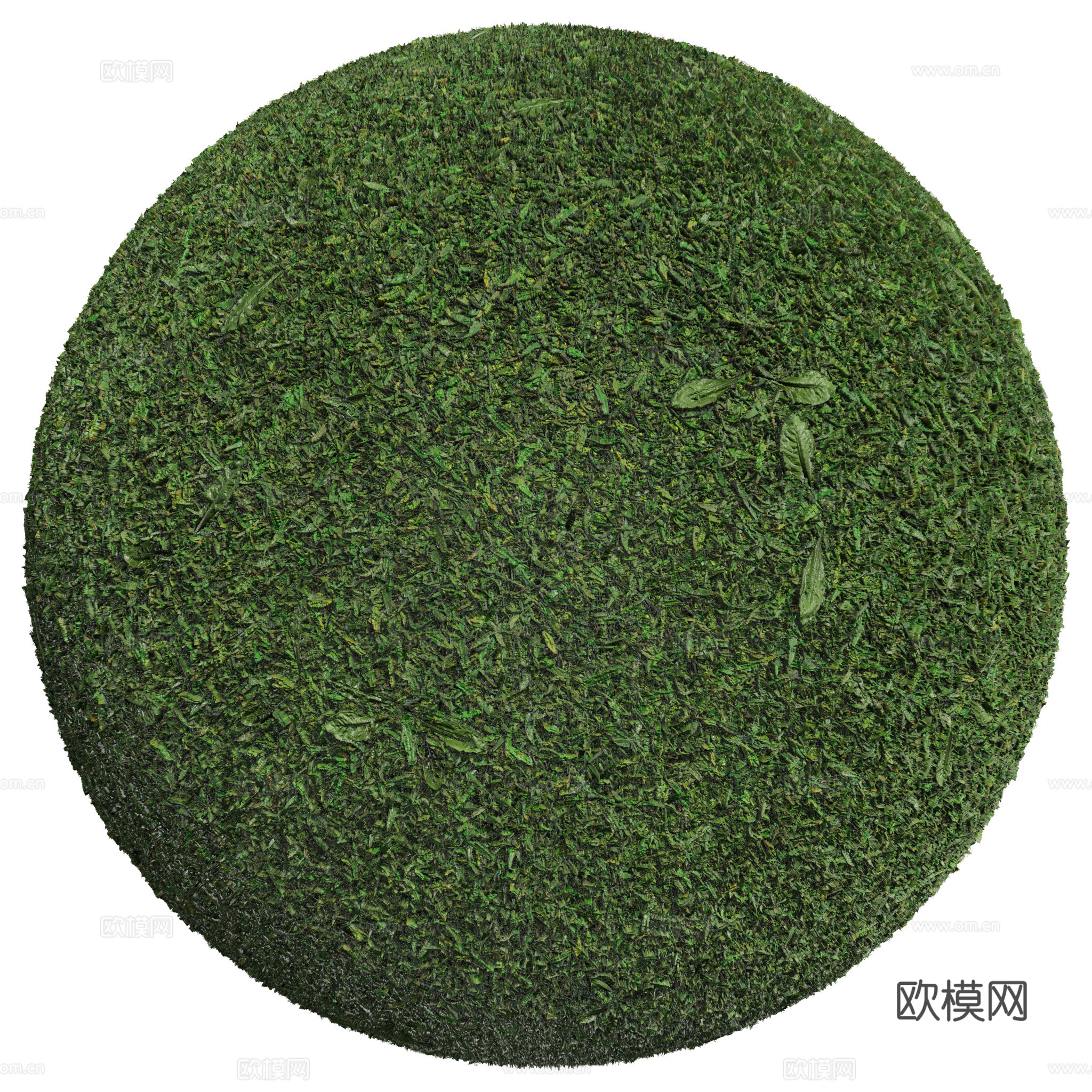 户外 草地 草坪 无缝