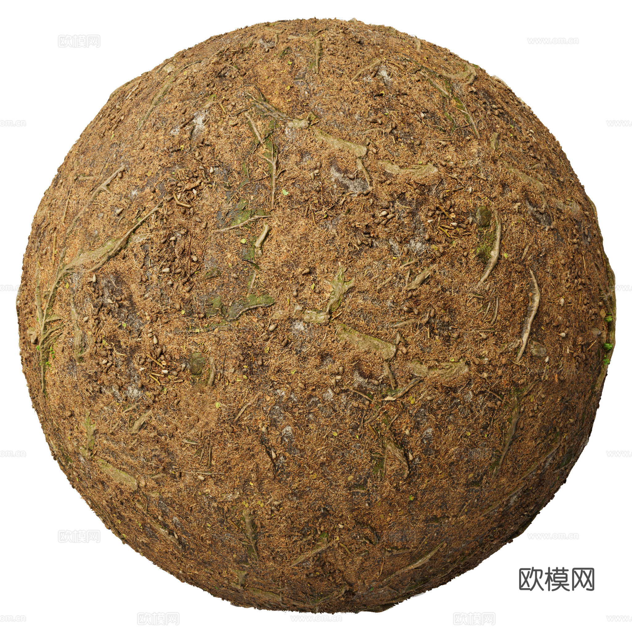 地面 土壤 自然 树枝 碎石