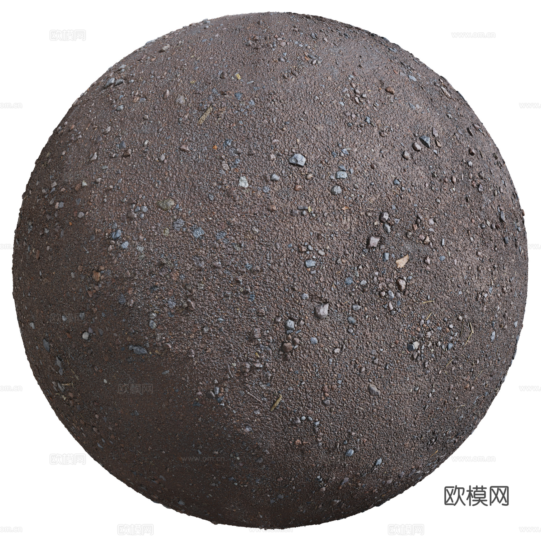 地面 土壤 自然 树枝 碎石