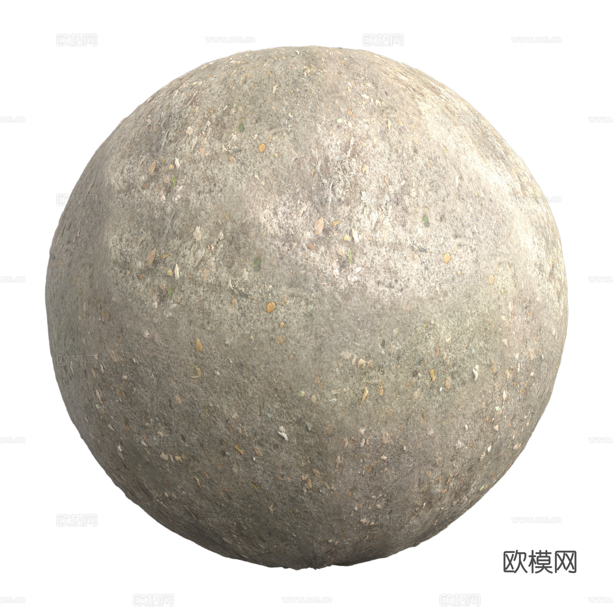 地面 土壤 自然 树枝 碎石