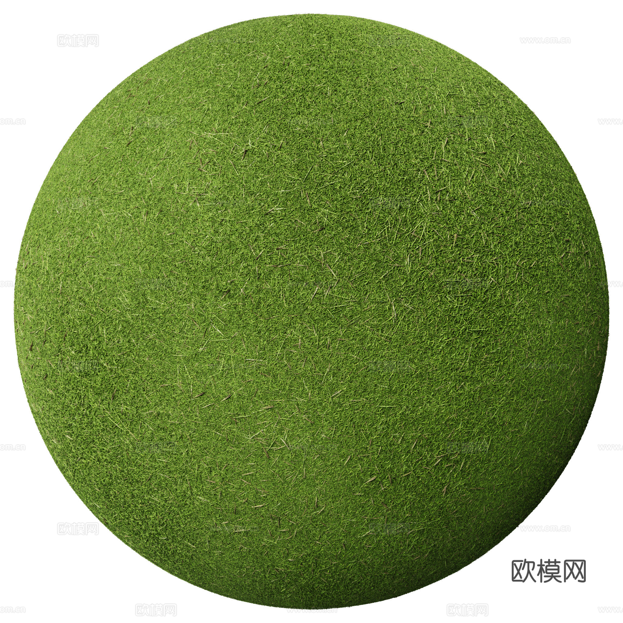 户外 草地 草坪 无缝