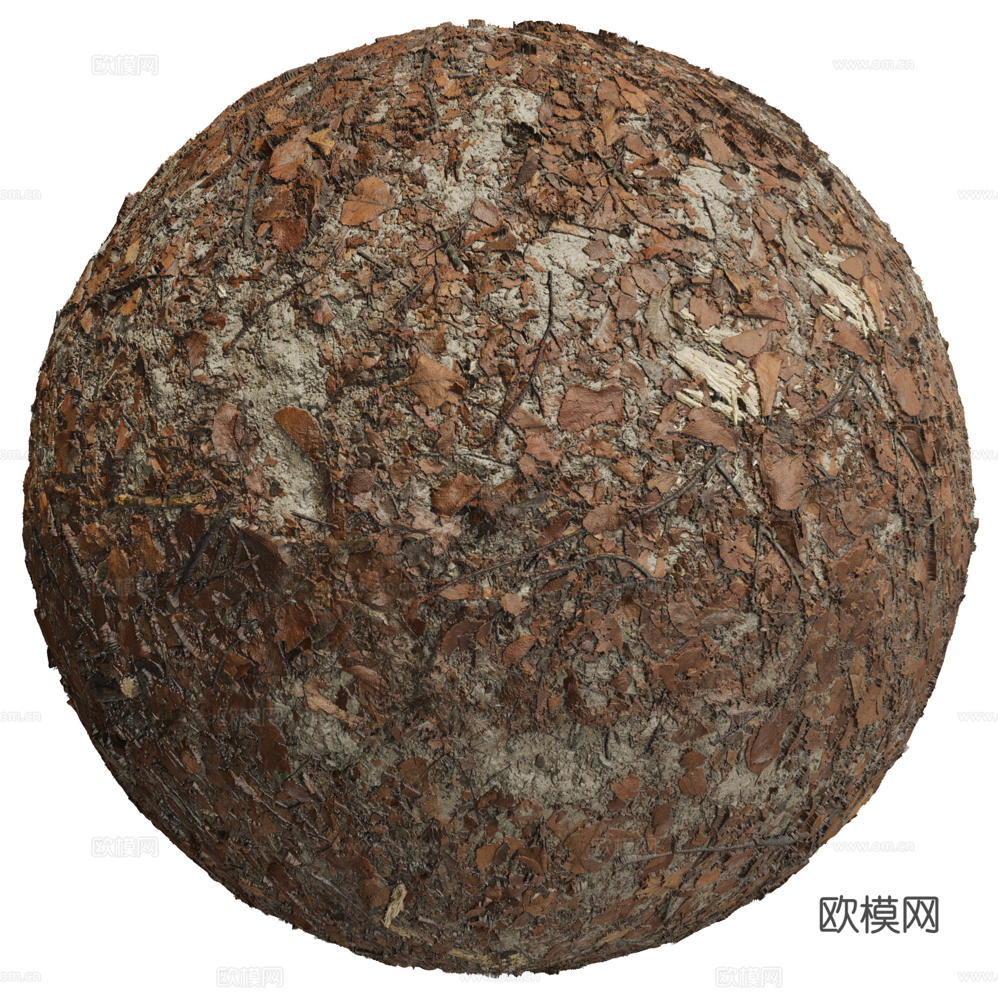 地面 土壤 自然 树枝 碎石