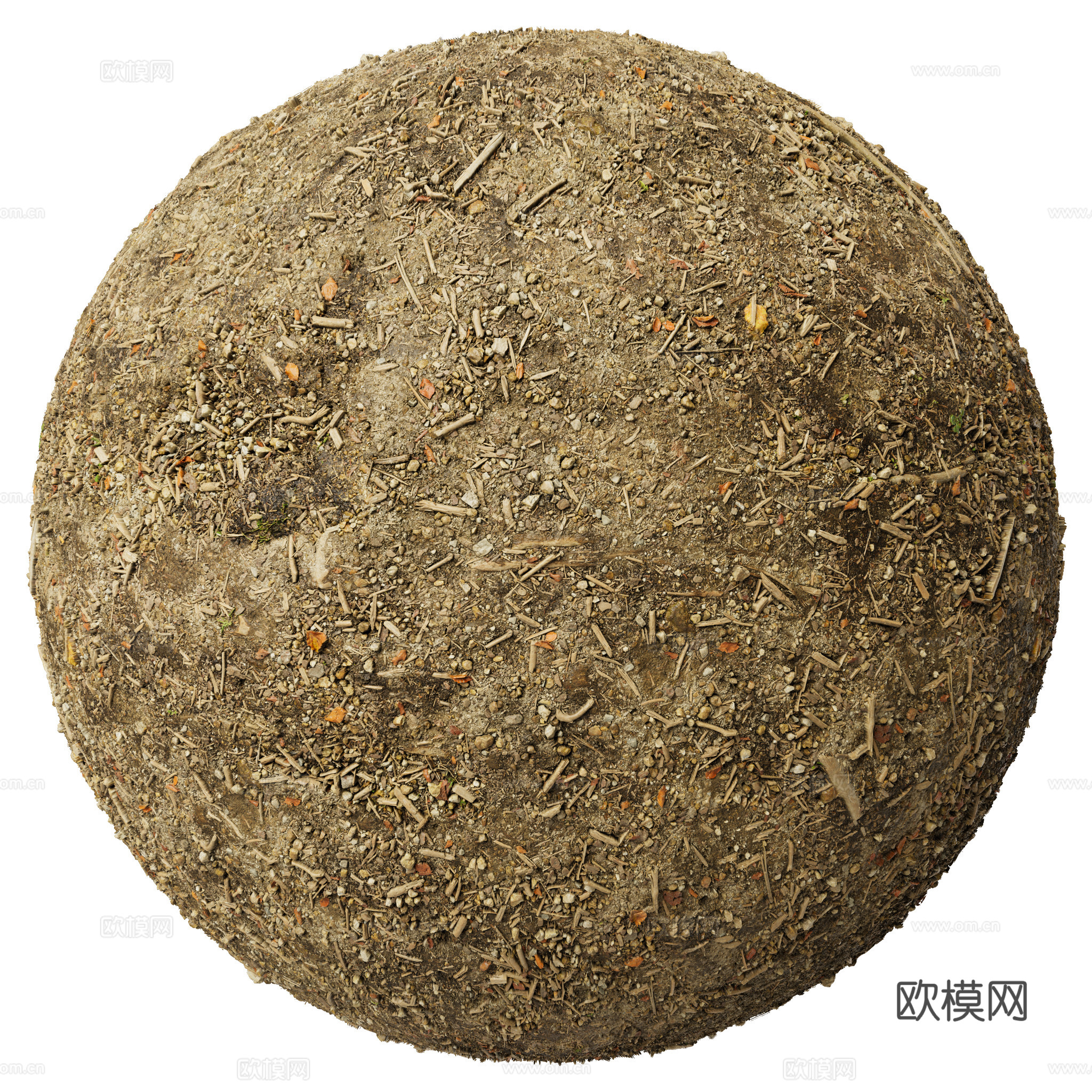 地面 土壤 自然 树枝 碎石