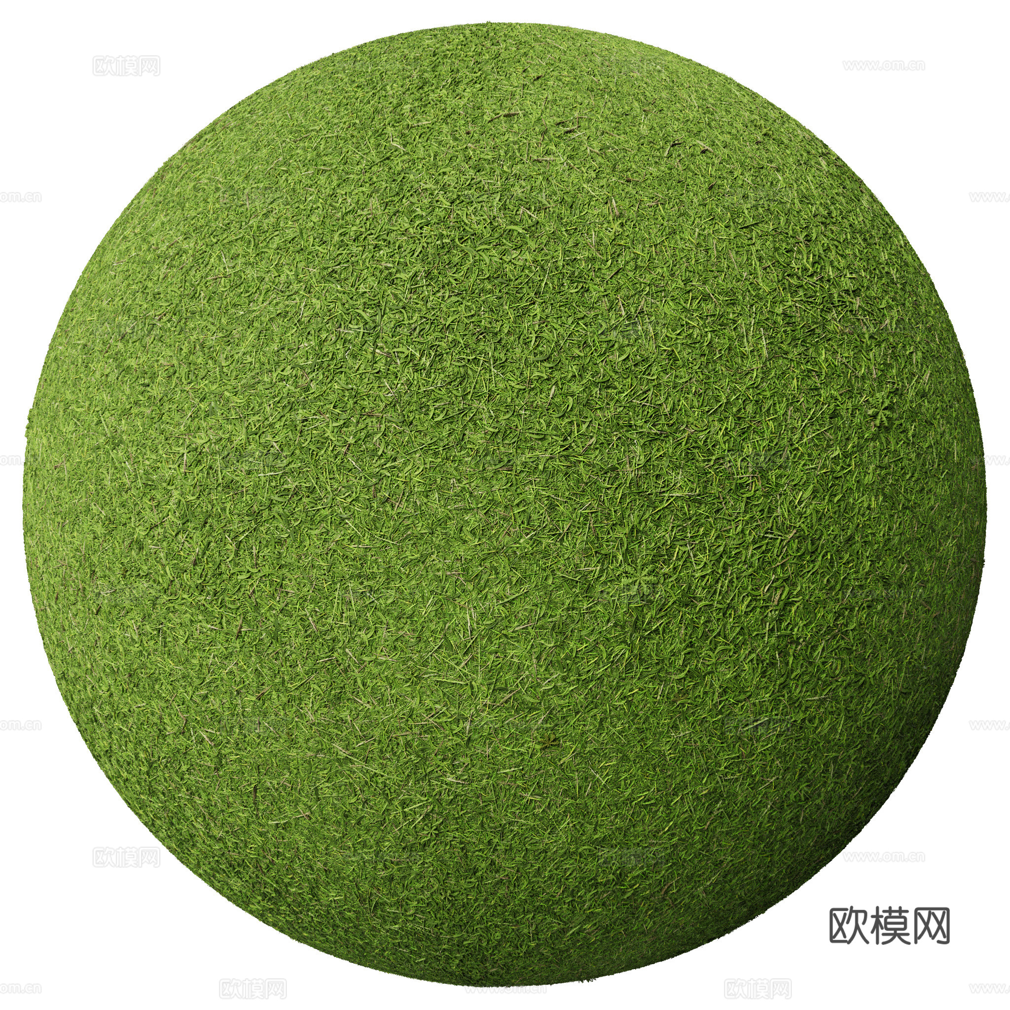 户外 草地 草坪 无缝