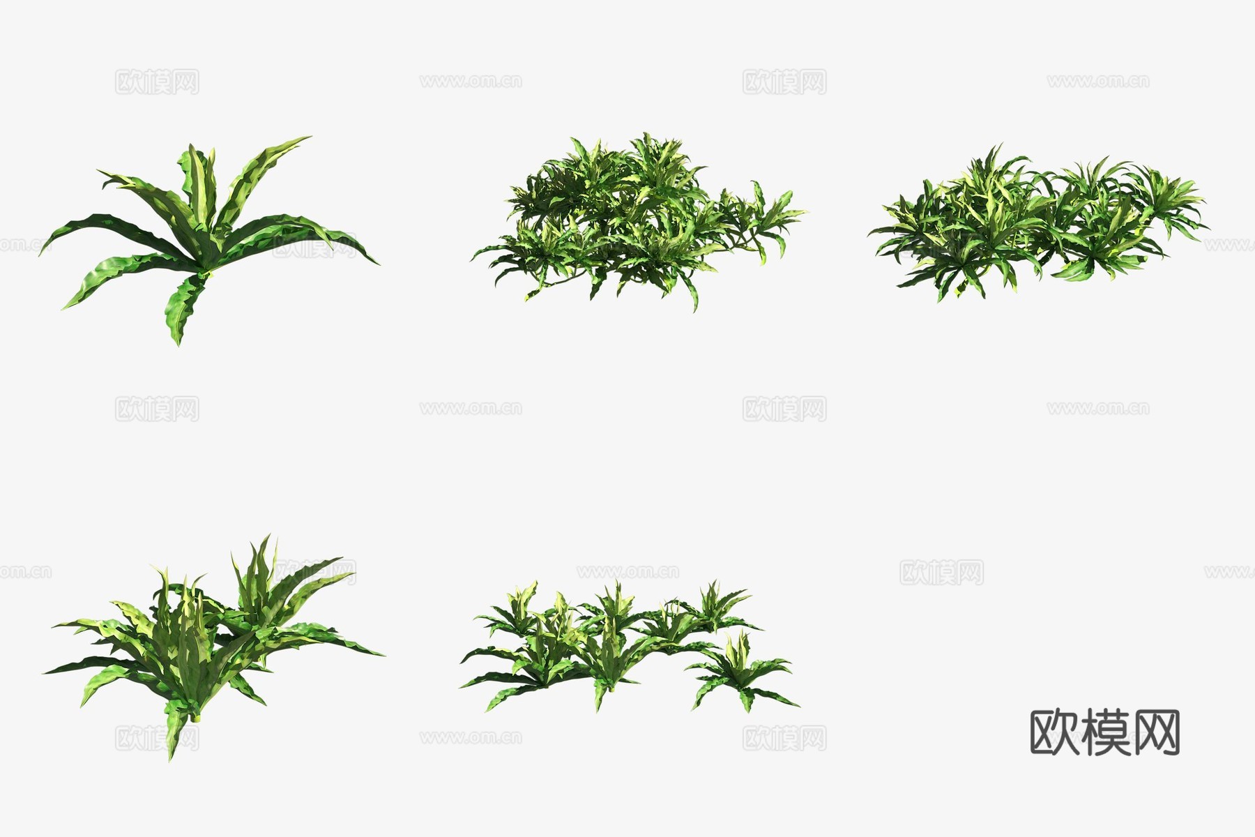 水草小红莓水生植物3d模型