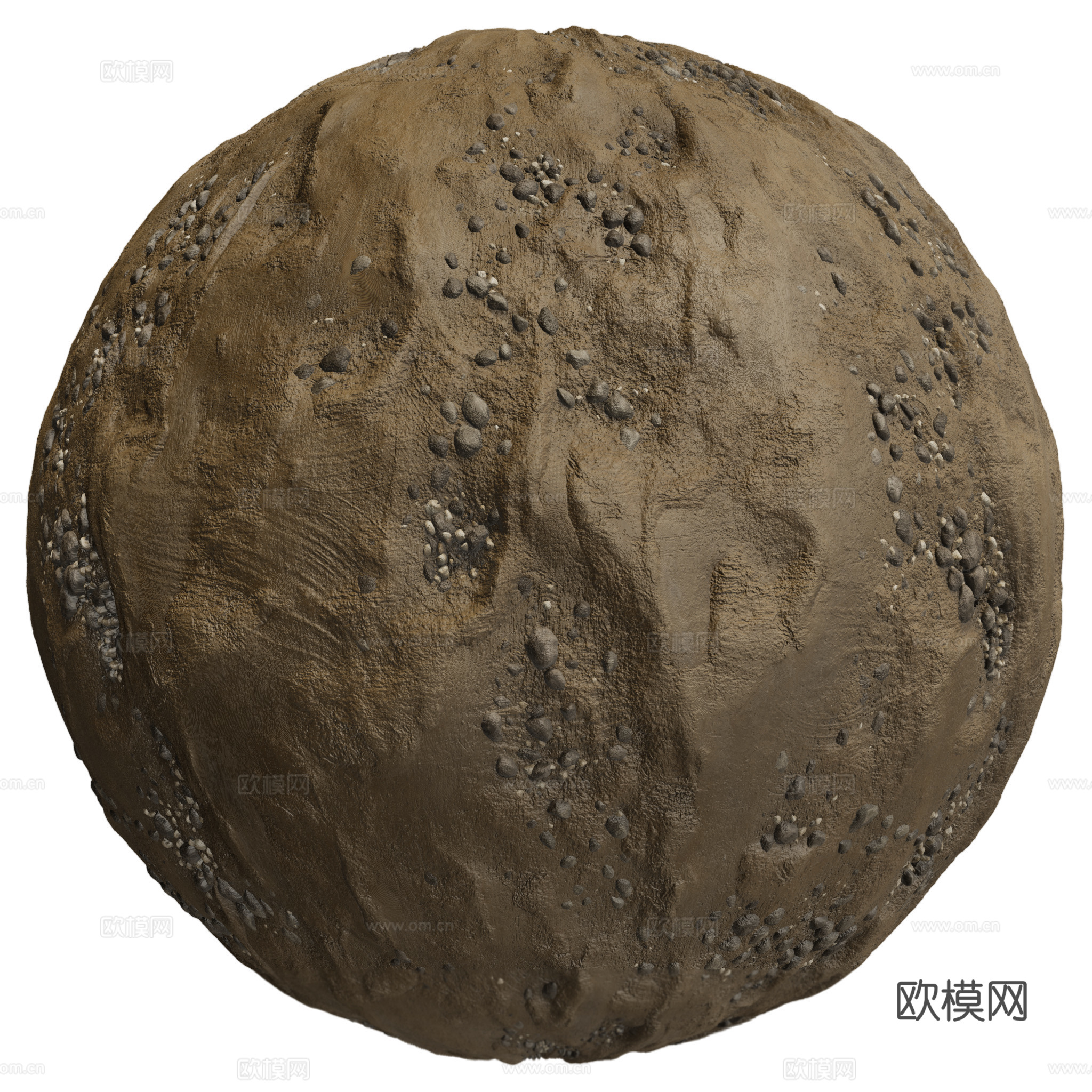 地面 土壤 自然 树枝 碎石下载