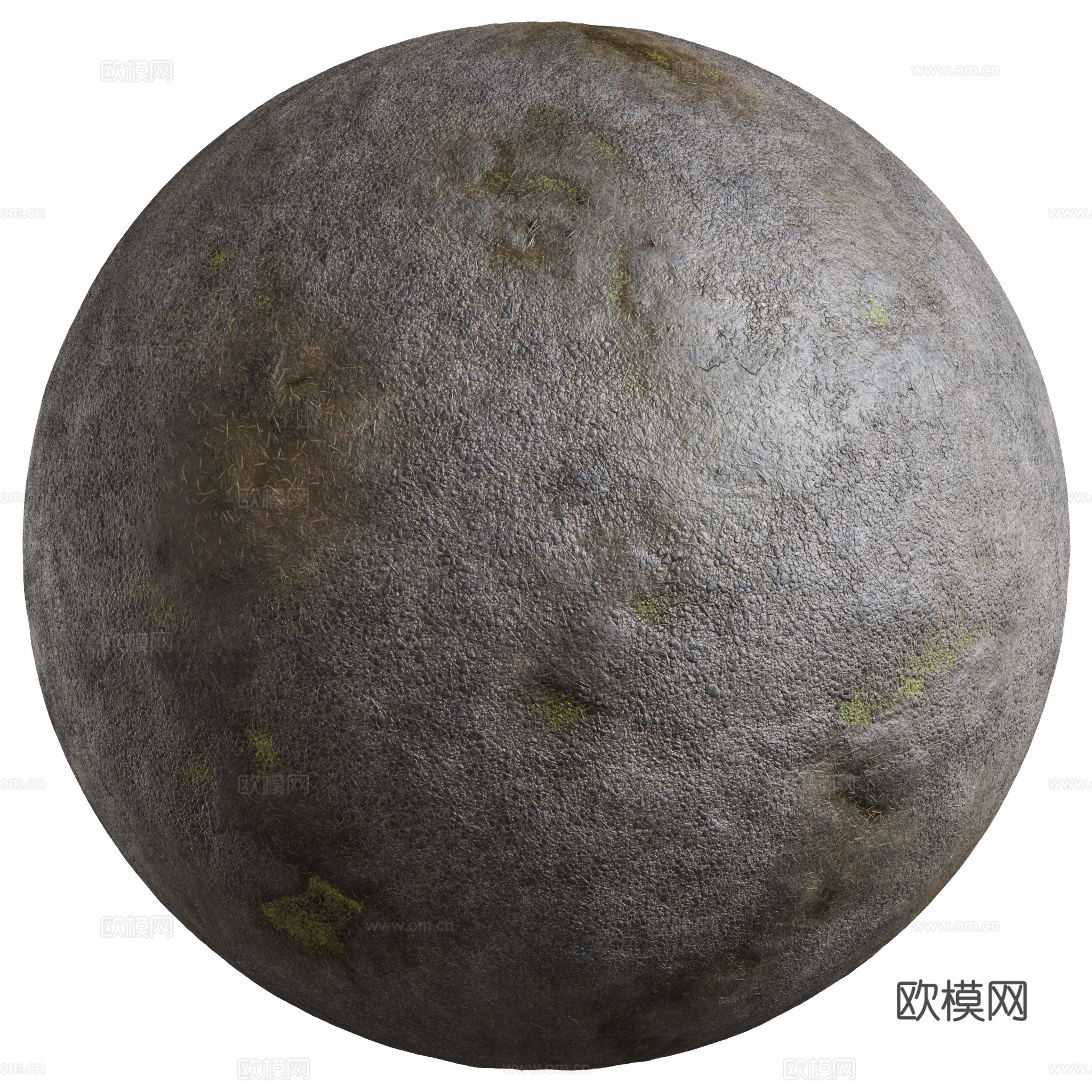 地面 土壤 自然 树枝 碎石