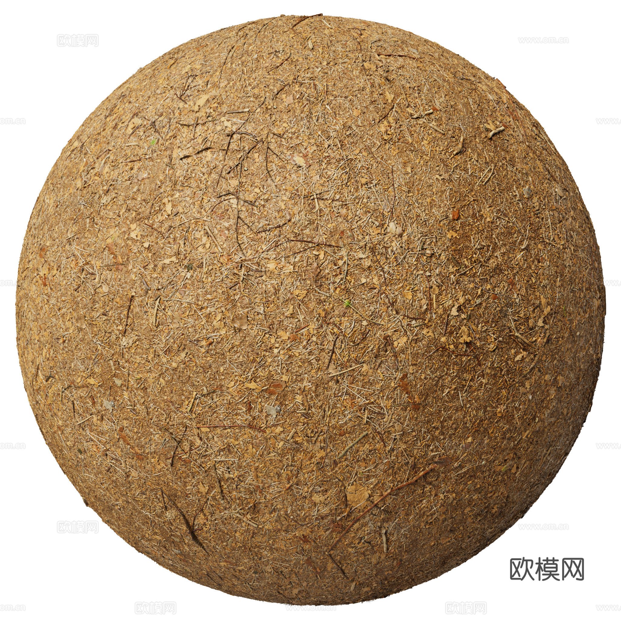 地面 土壤 自然 树枝 碎石