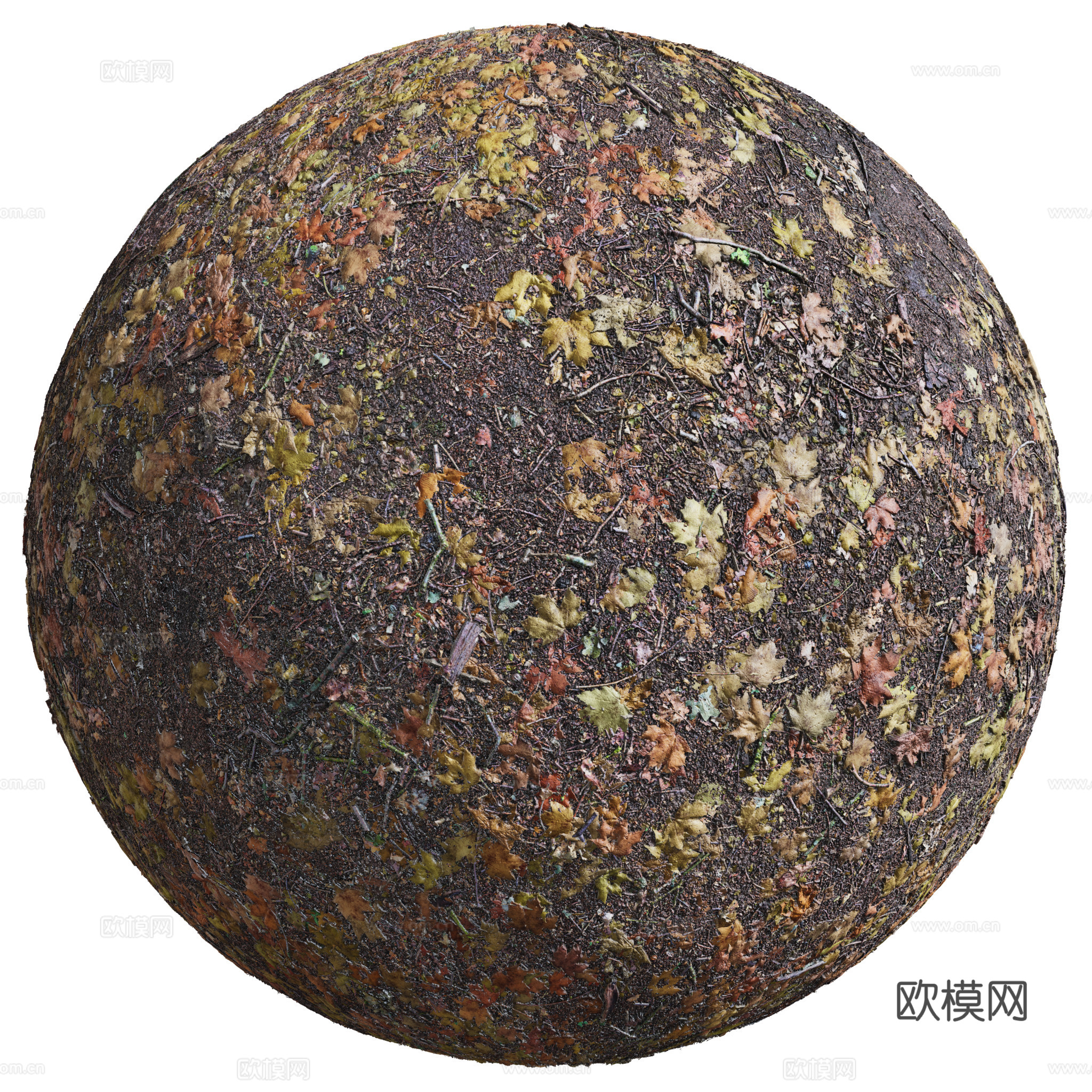 地面 土壤 自然 树枝 碎石