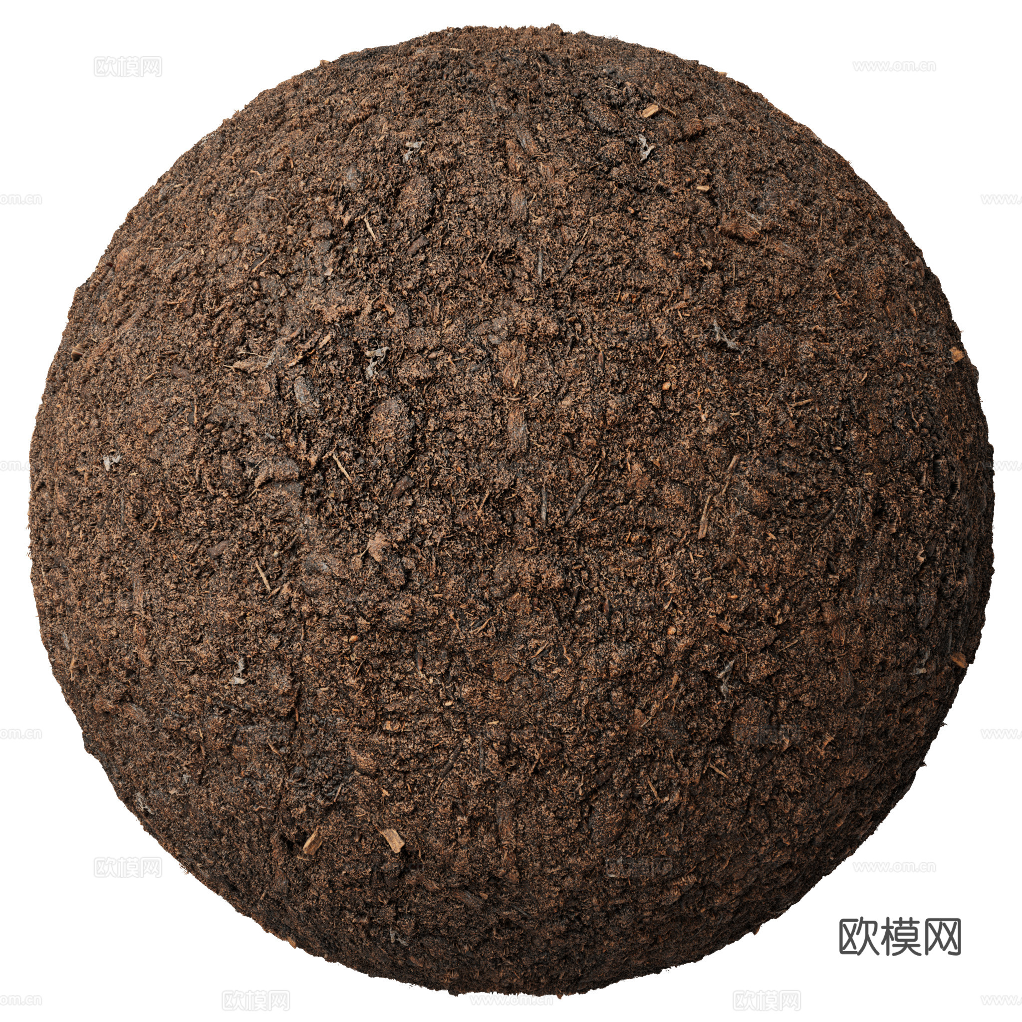 地面 土壤 自然 树枝 碎石下载