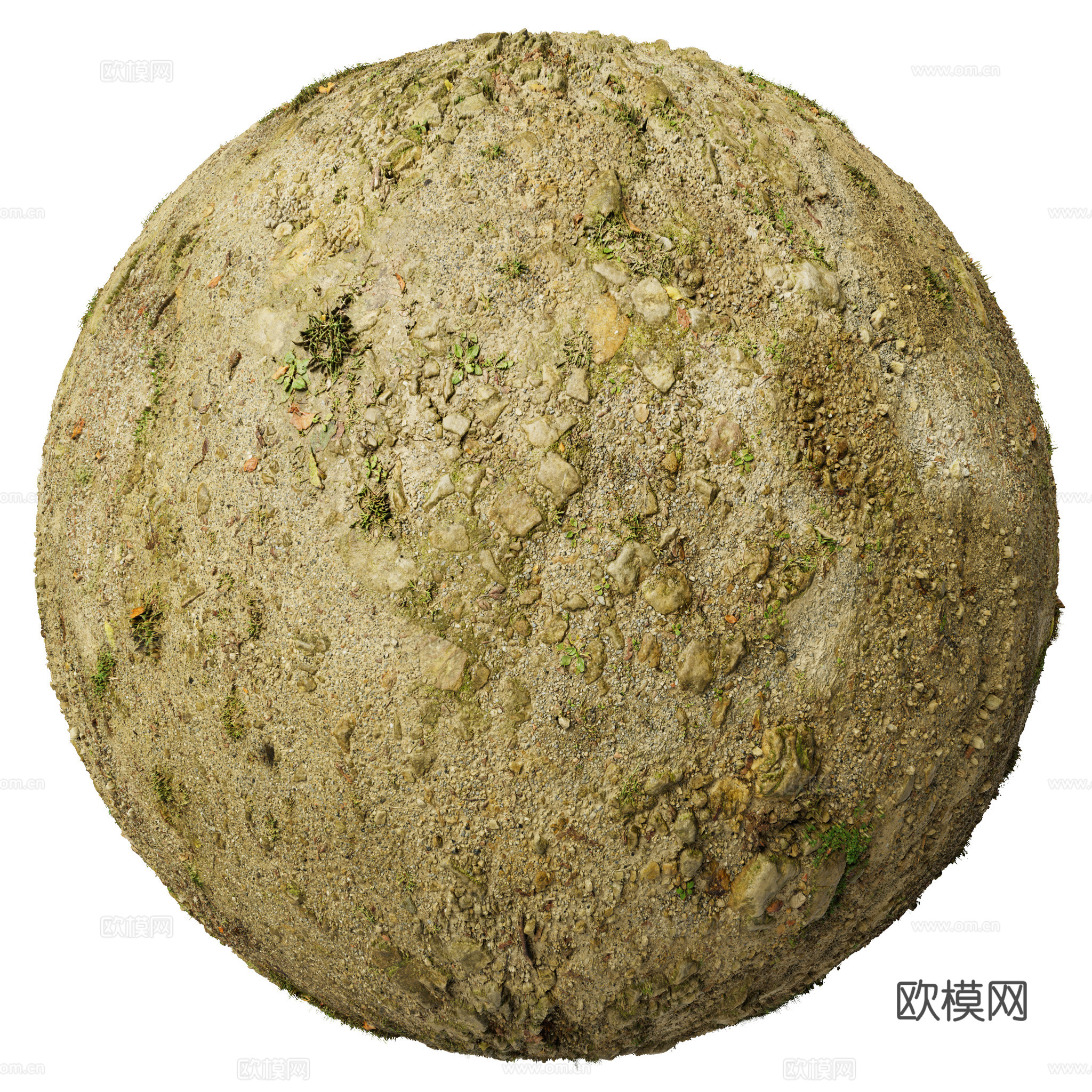 地面 土壤 自然 树枝 碎石