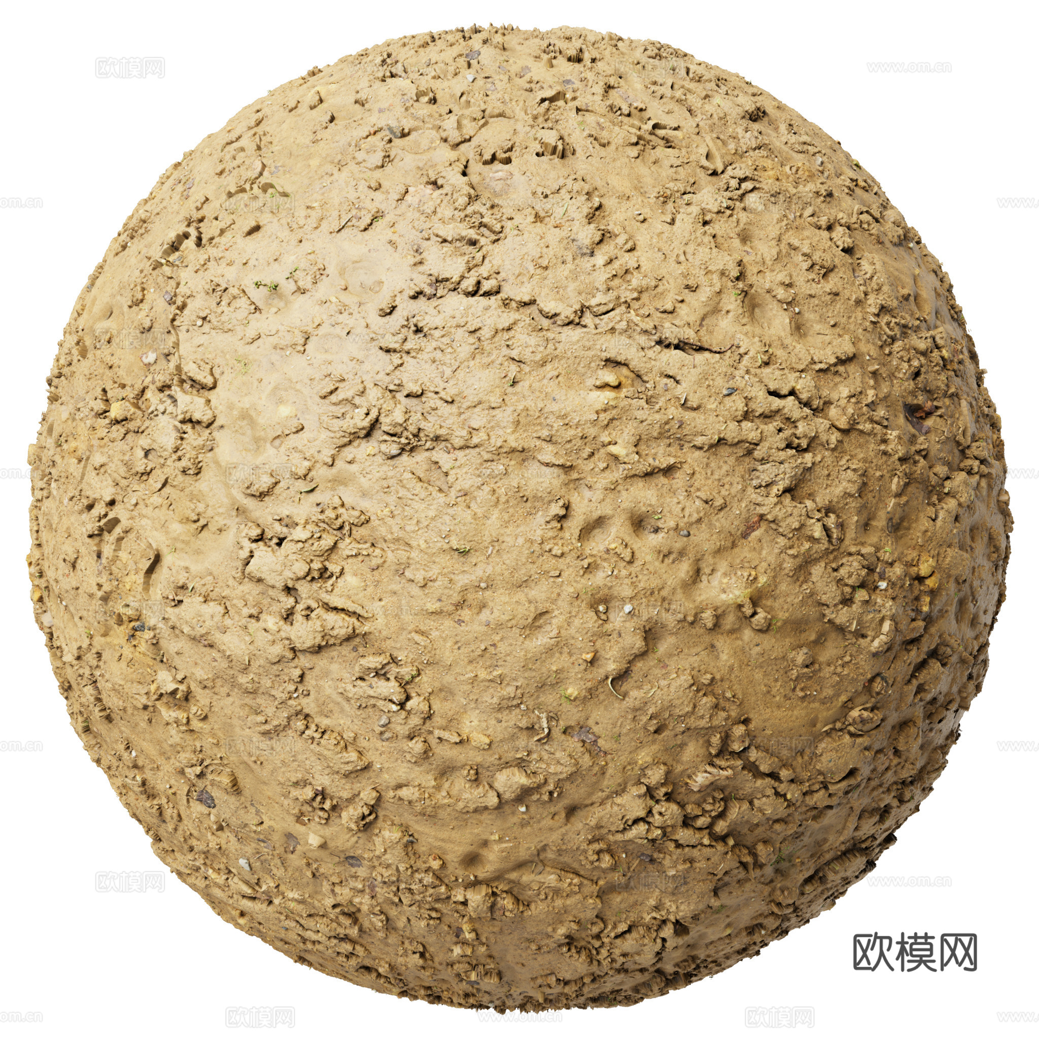 地面 土壤 自然 树枝 碎石