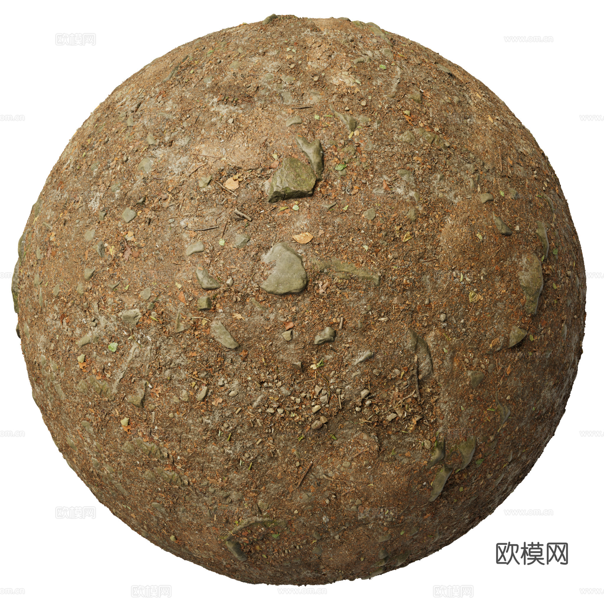 地面 土壤 自然 树枝 碎石