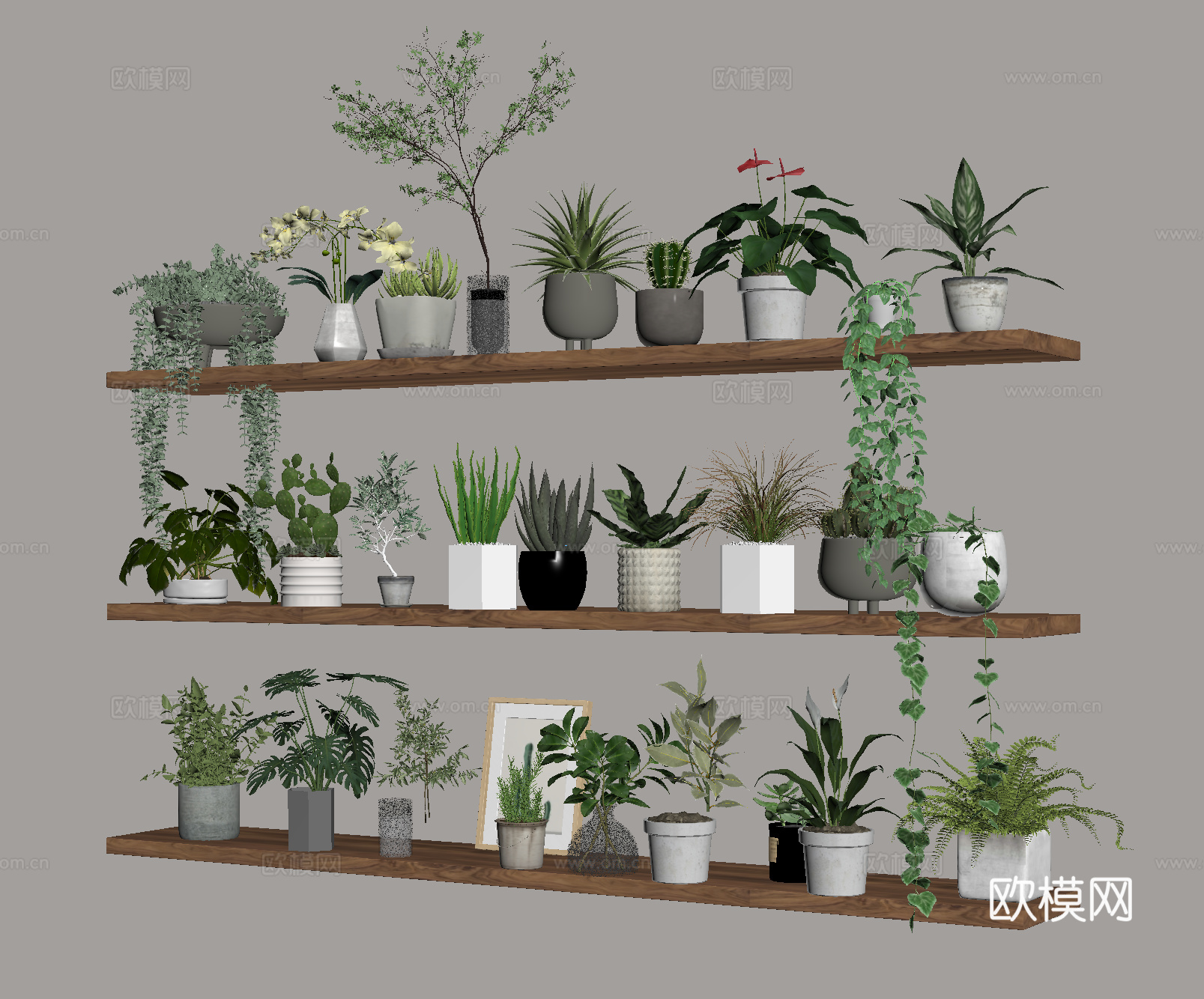 盆栽 盆景 绿植su模型