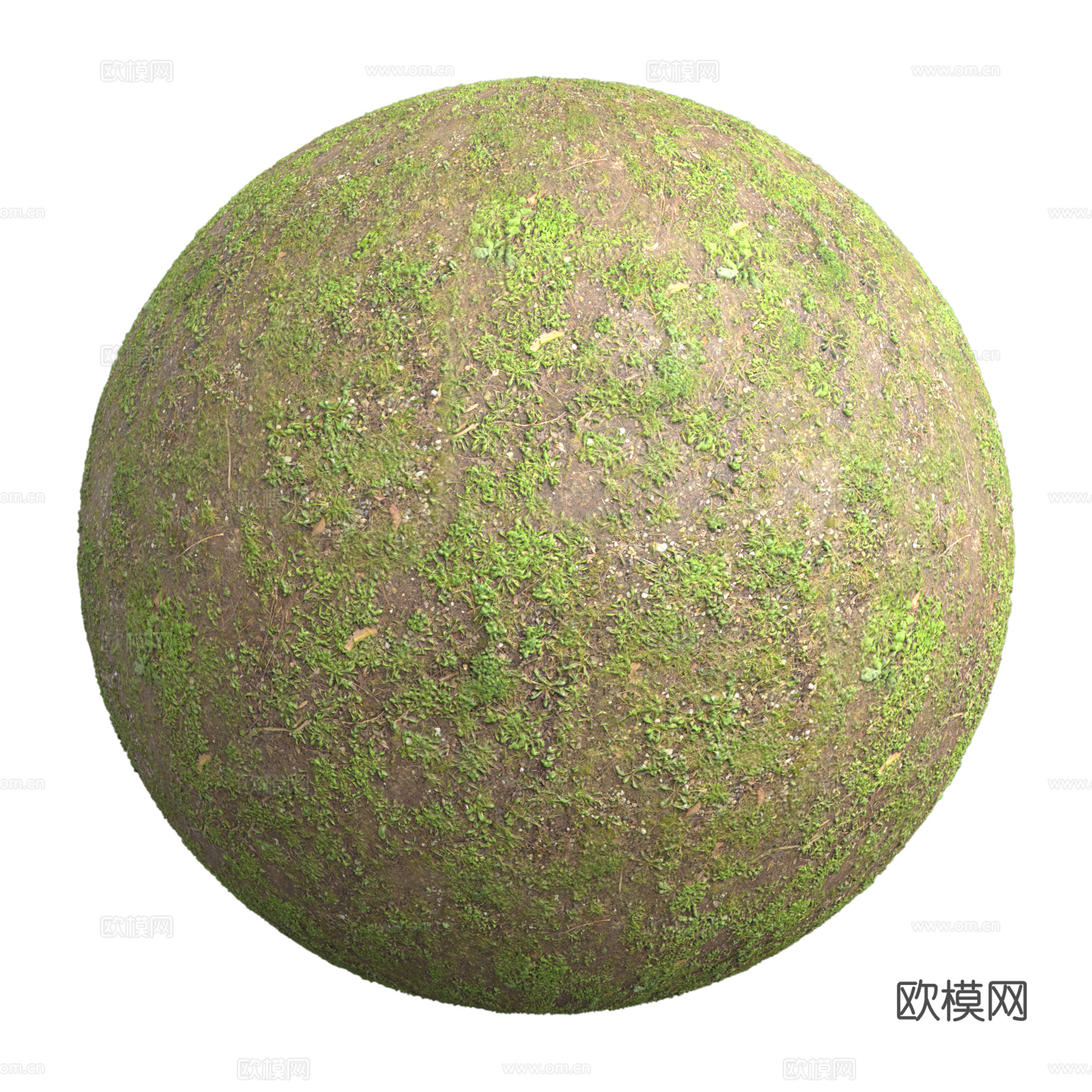 地面 土壤 自然 树枝 碎石