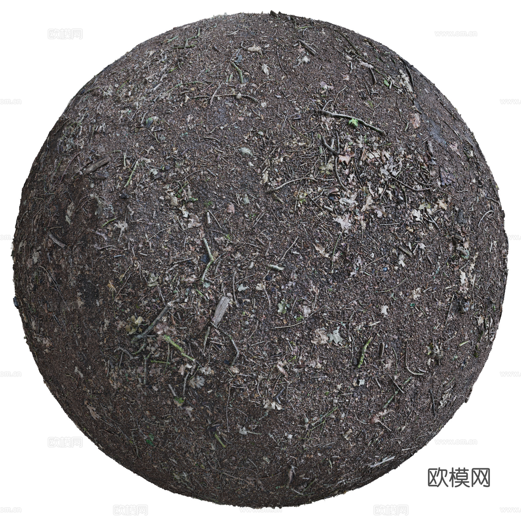 地面 土壤 自然 树枝 碎石