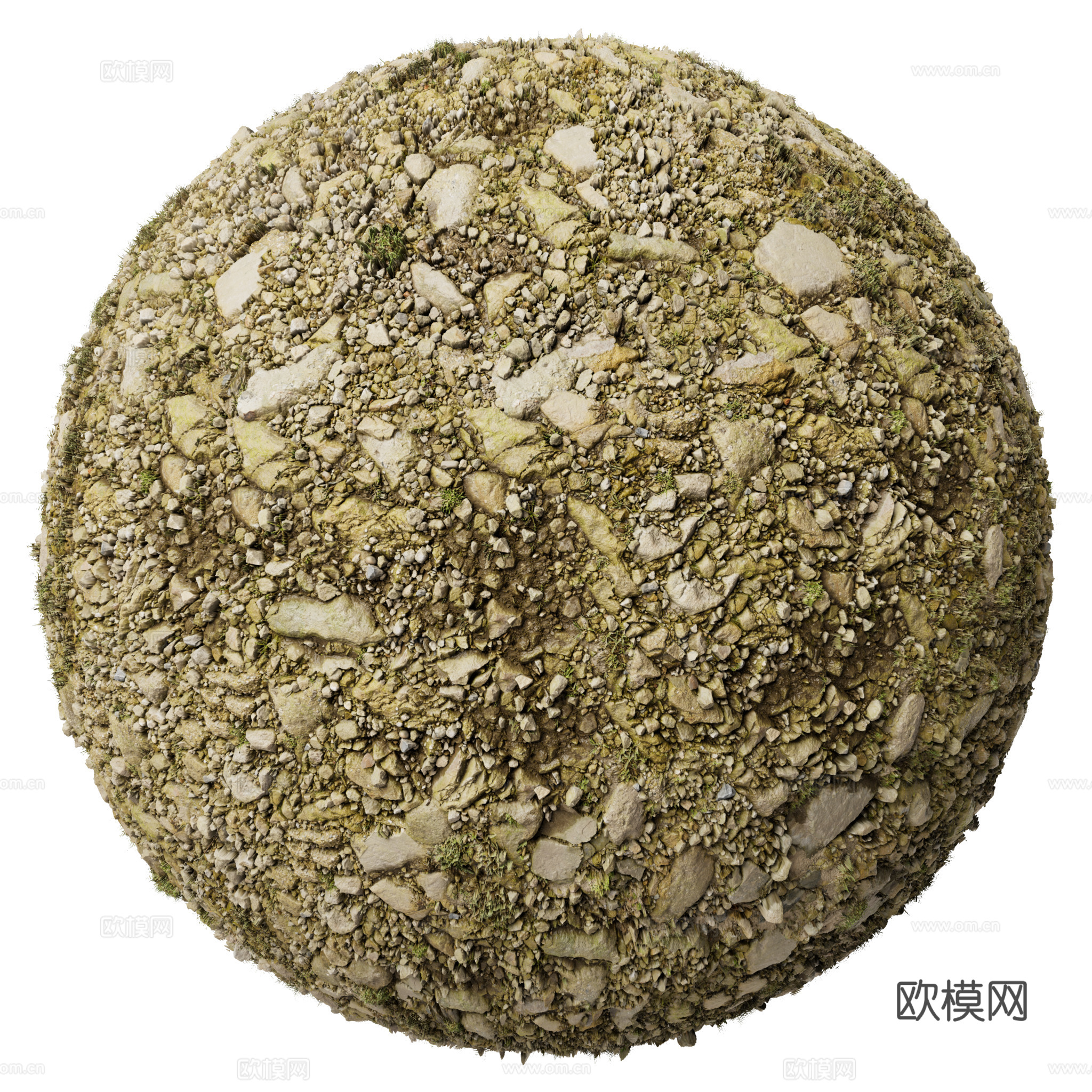 地面 土壤 自然 树枝 碎石
