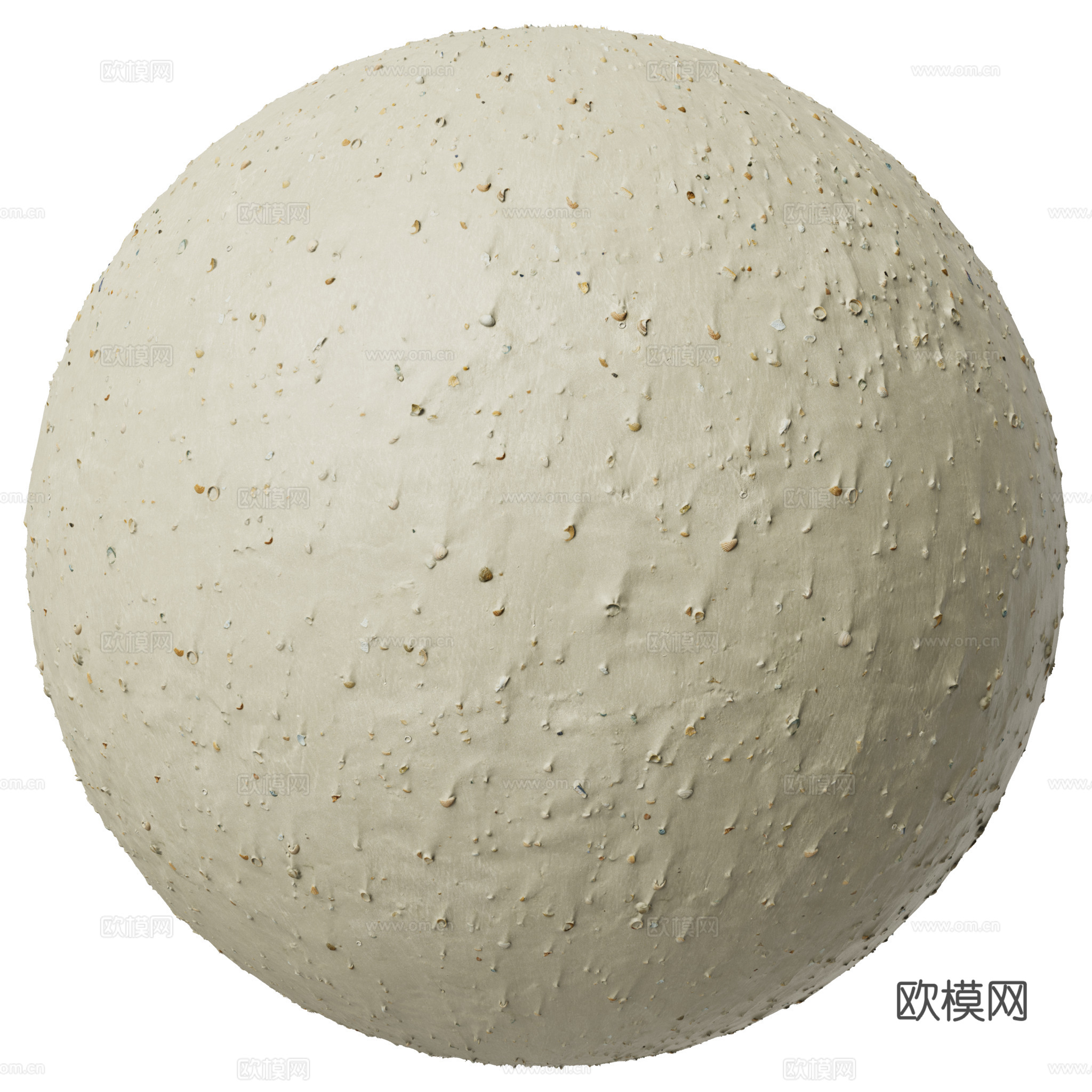 地面 土壤 自然 树枝 碎石