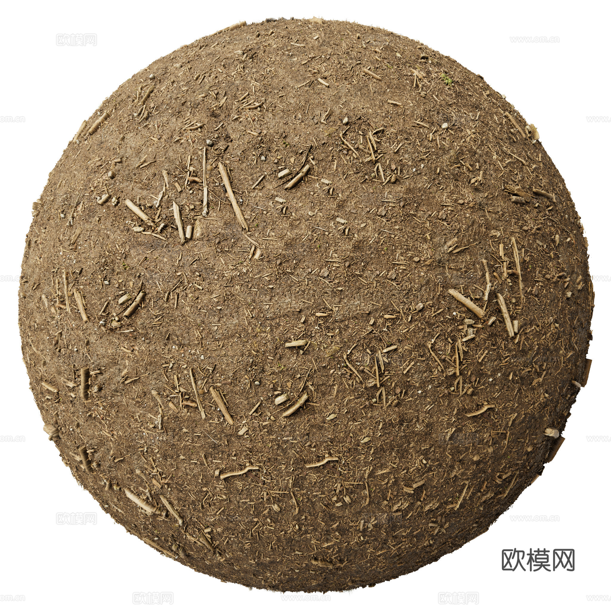 地面 土壤 自然 树枝 碎石