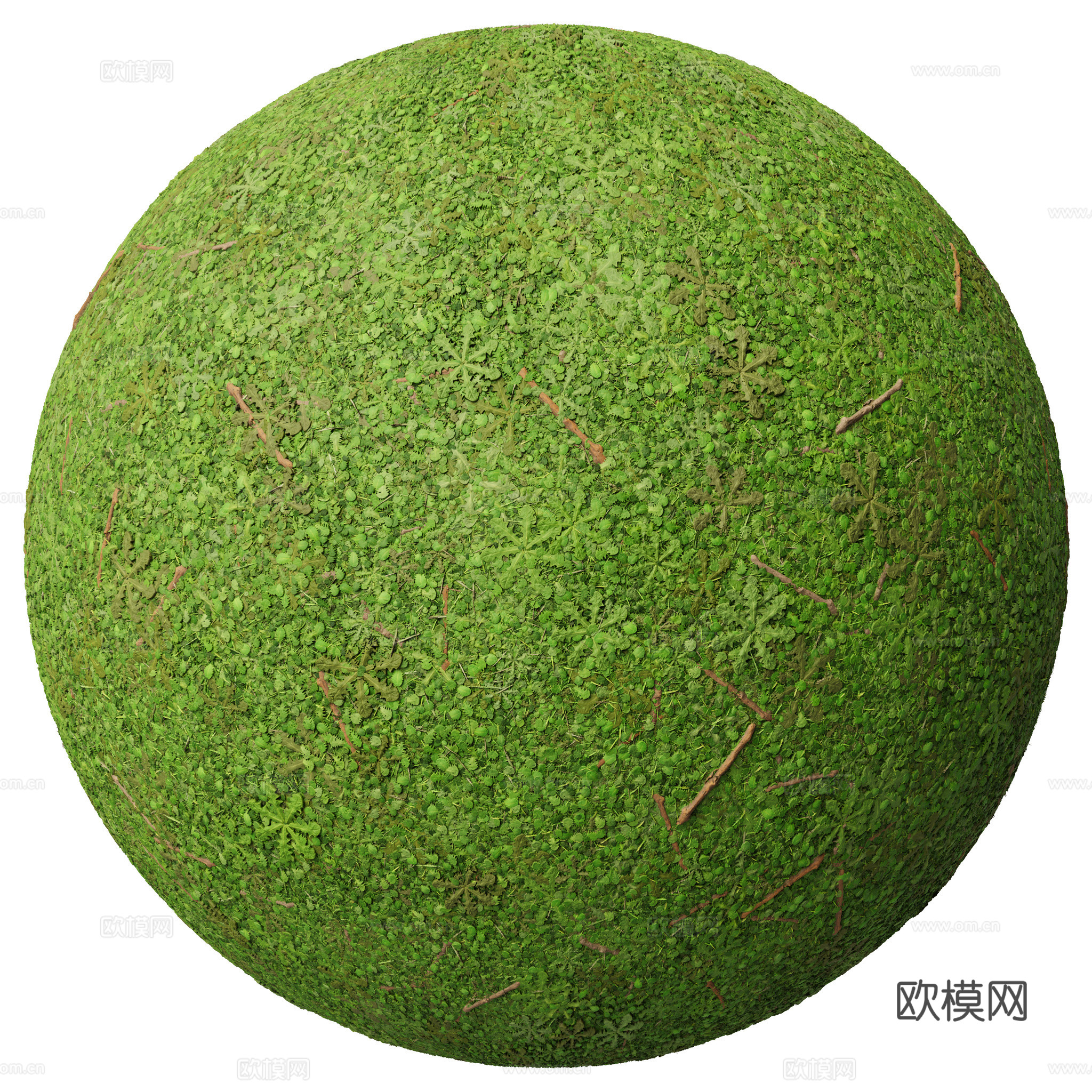 户外 草地 草坪 无缝