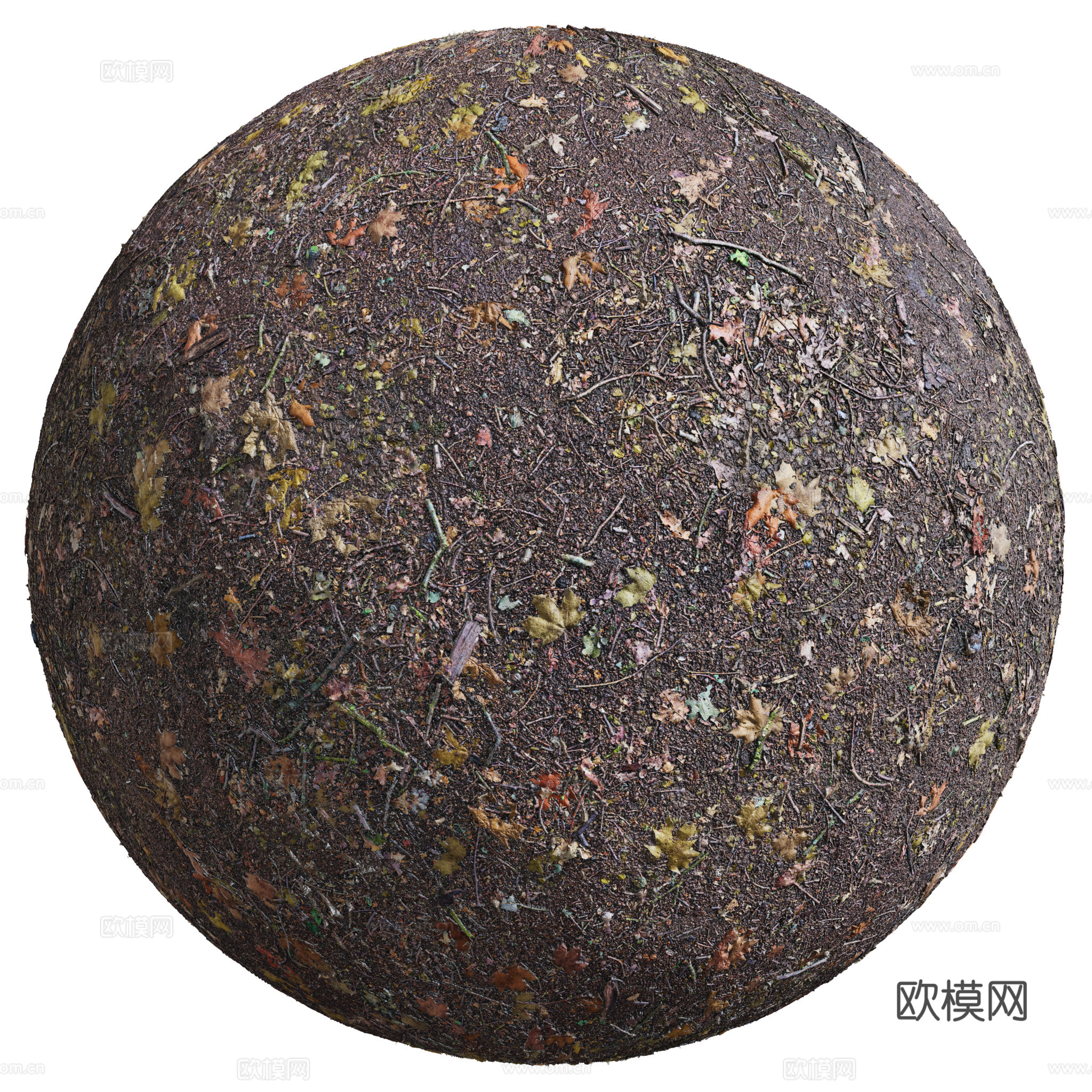 地面 土壤 自然 树枝 碎石