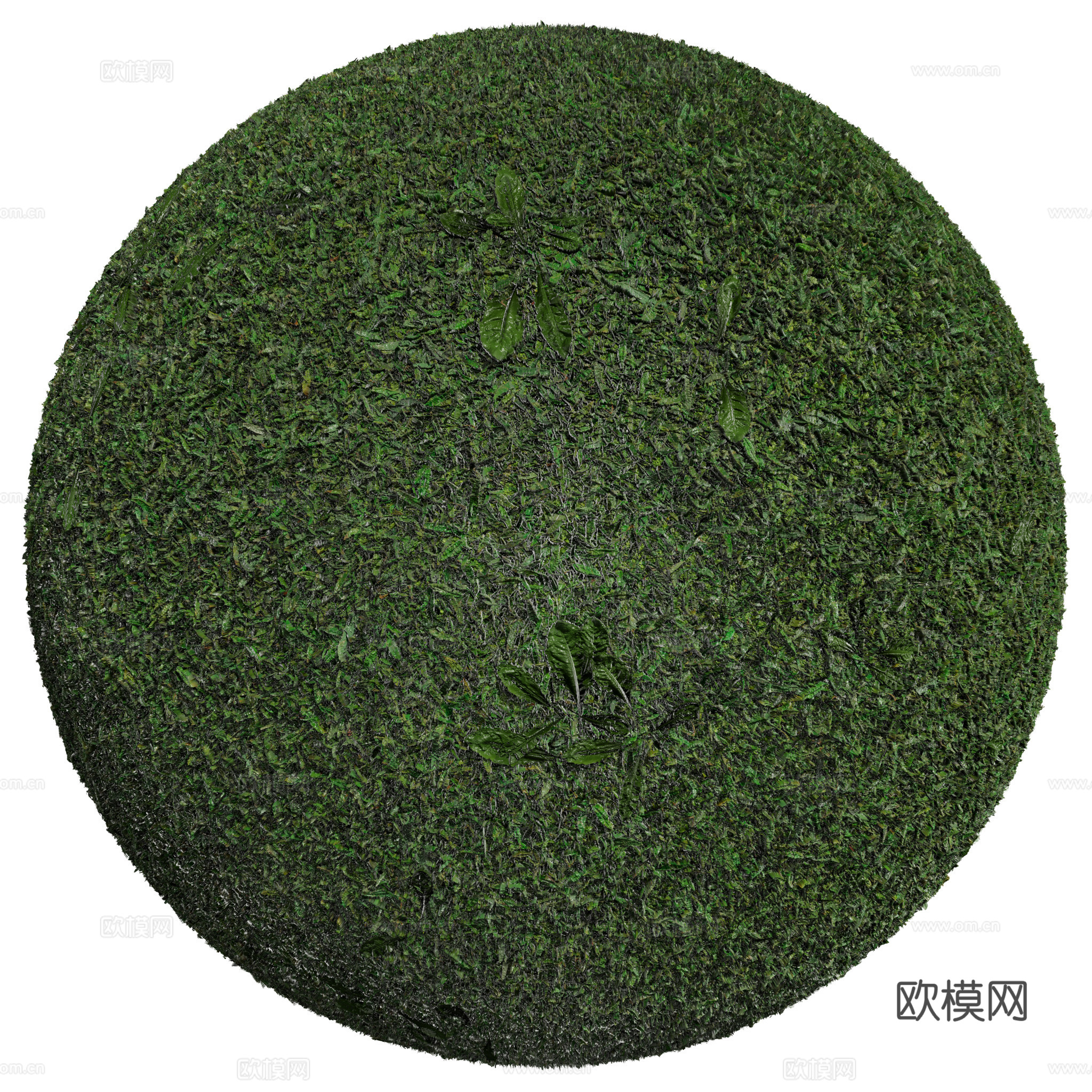 户外 草地 草坪 无缝