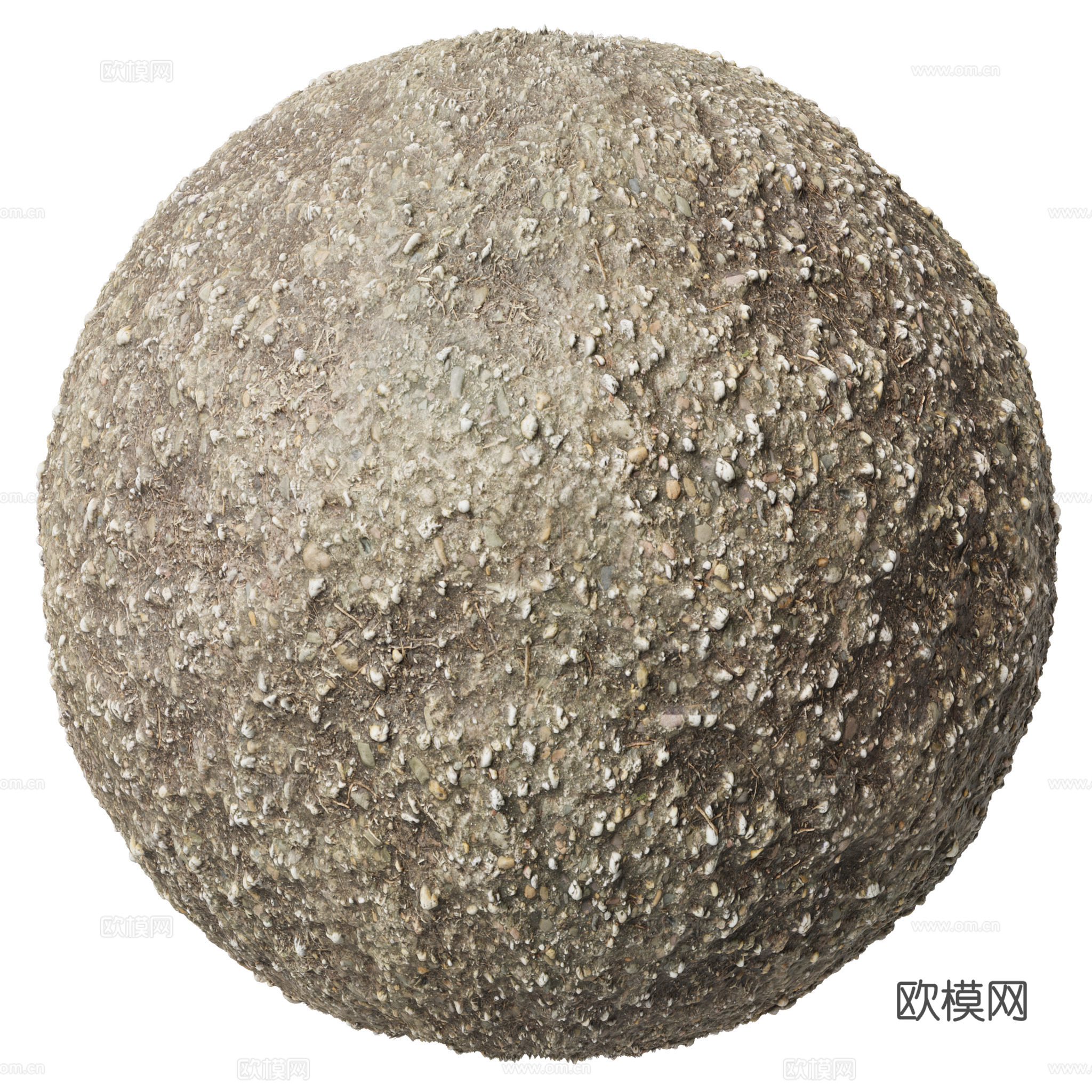 地面 土壤 自然 树枝 碎石下载