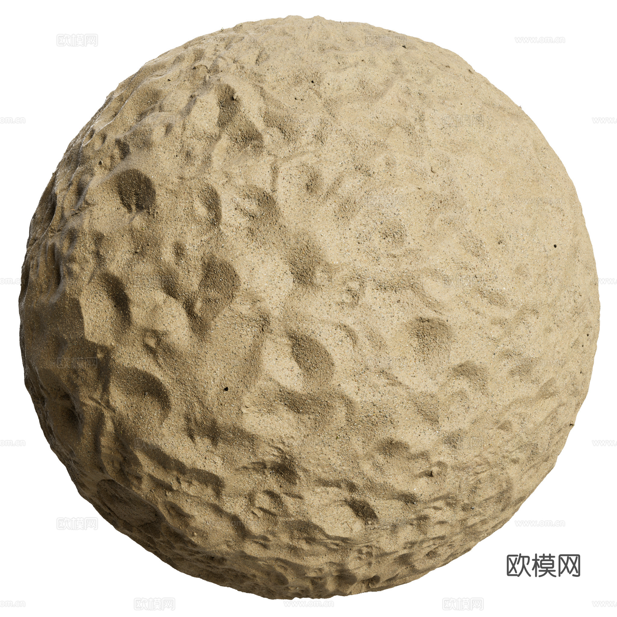 地面 土壤 自然 树枝 碎石