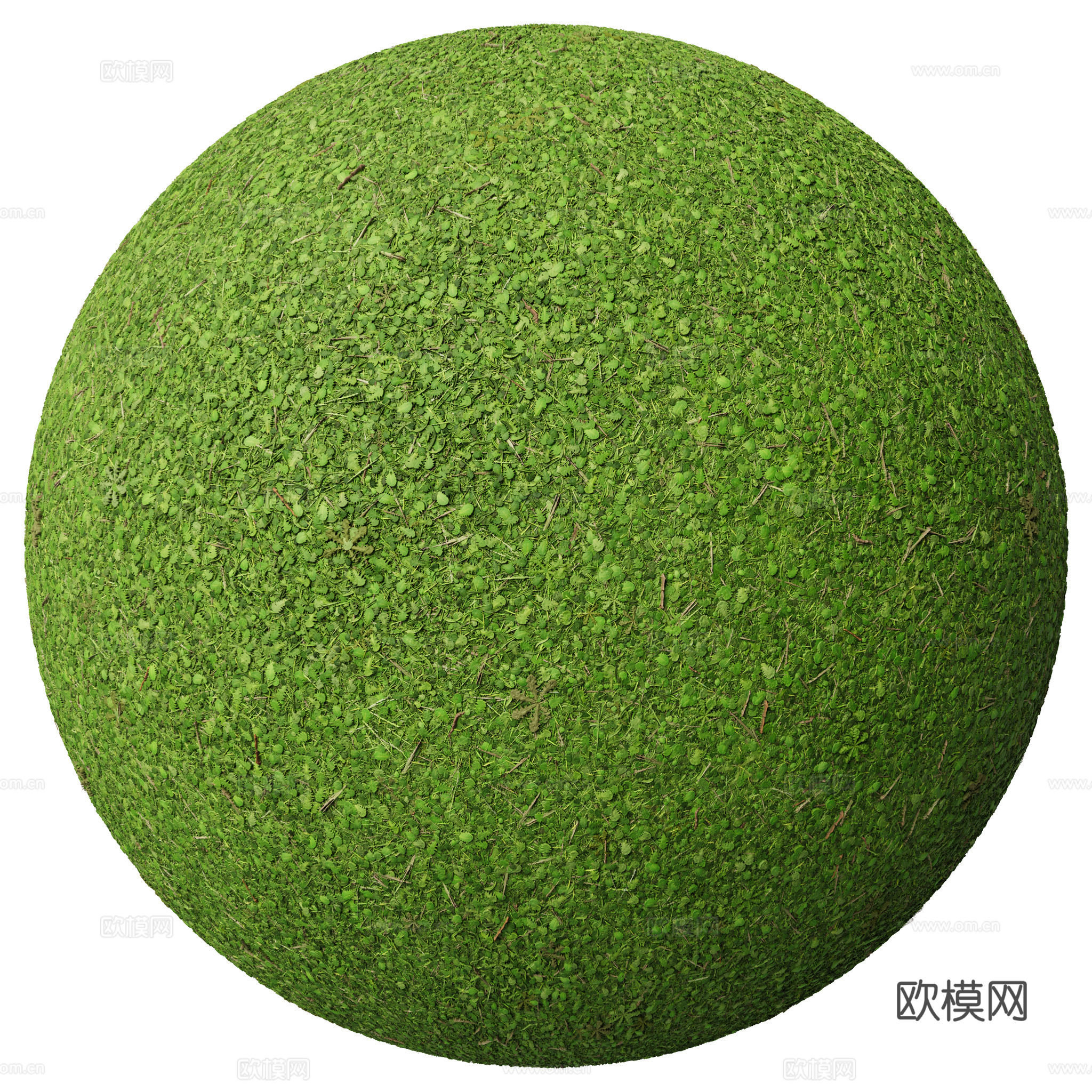 户外 草地 草坪 无缝