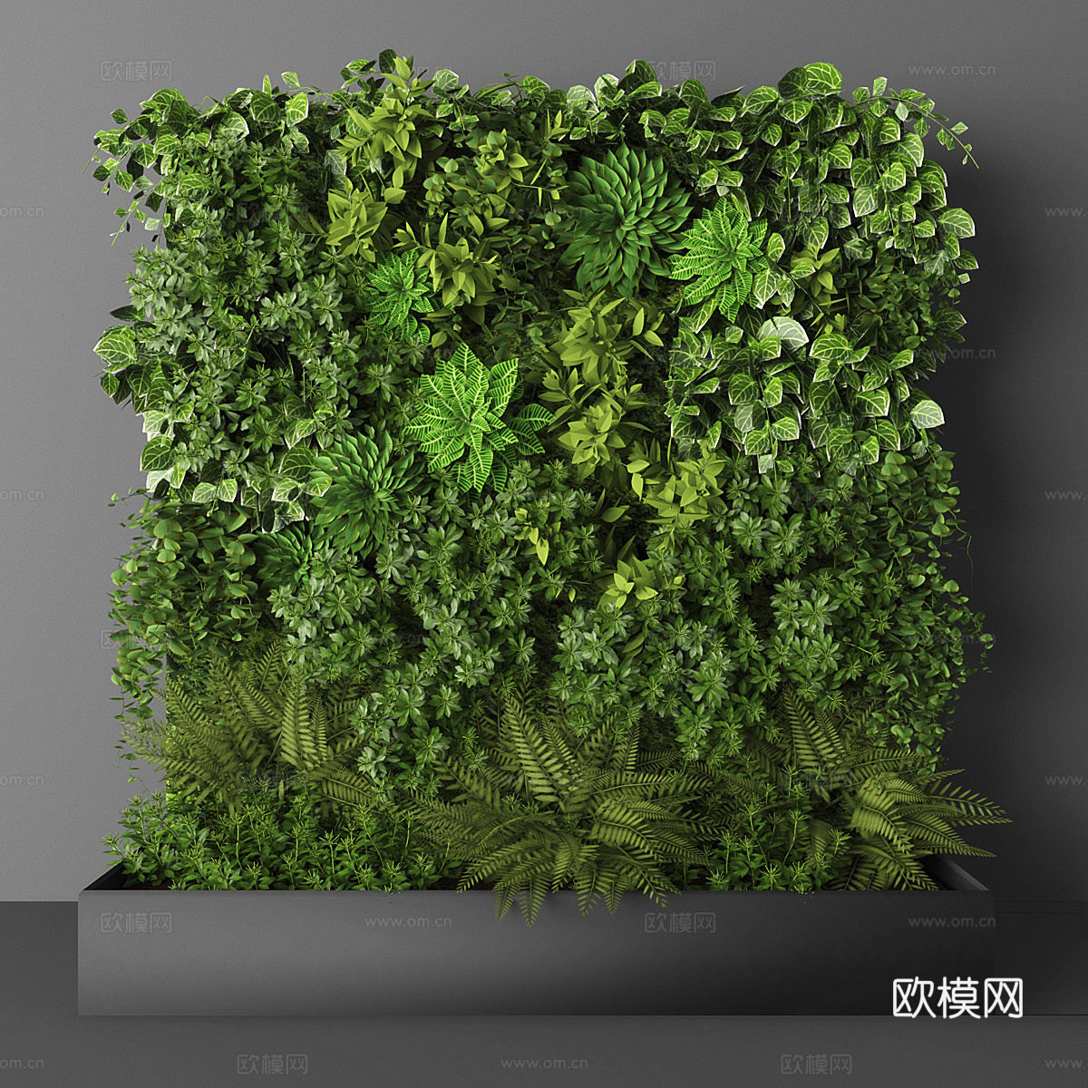 植物墙 植物3d模型