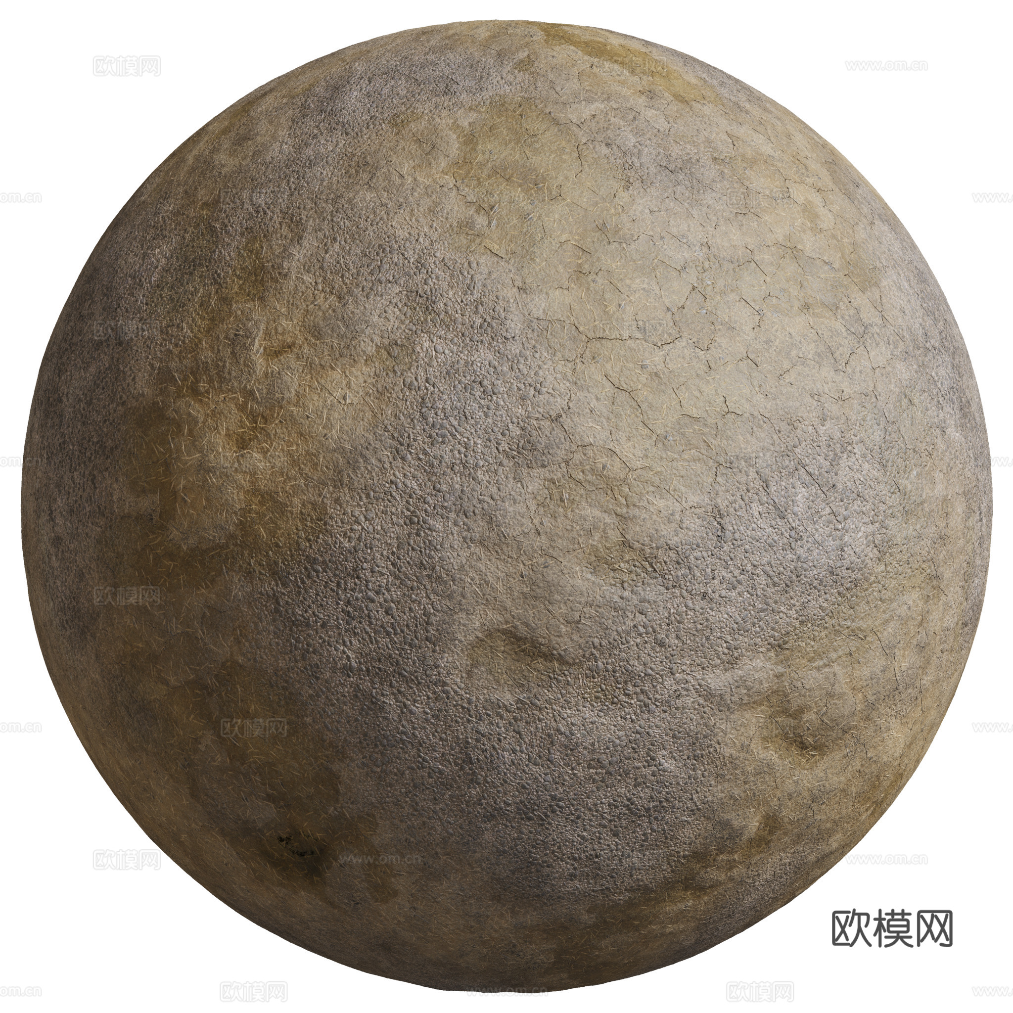 地面 土壤 自然 树枝 碎石下载