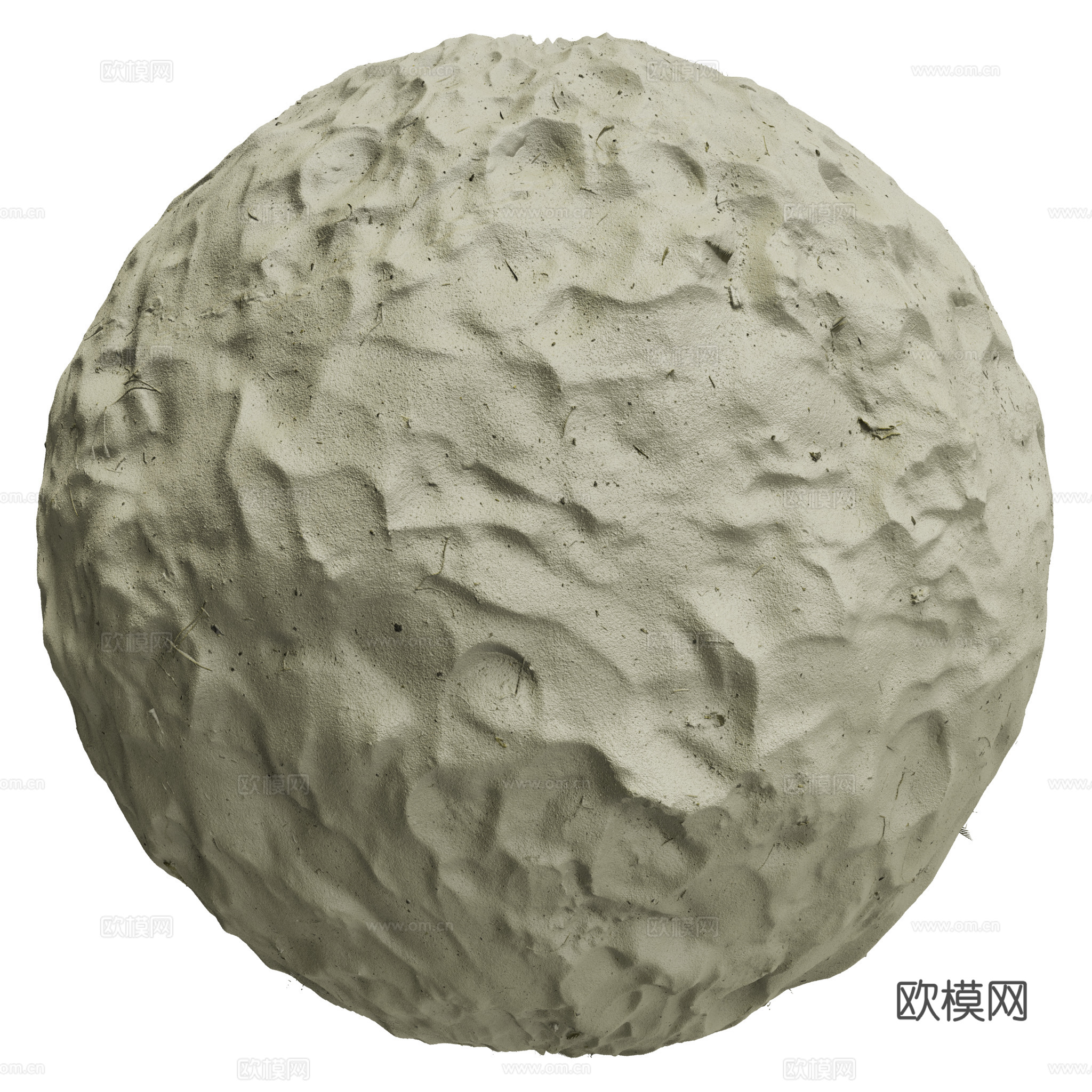 地面 土壤 自然 树枝 碎石