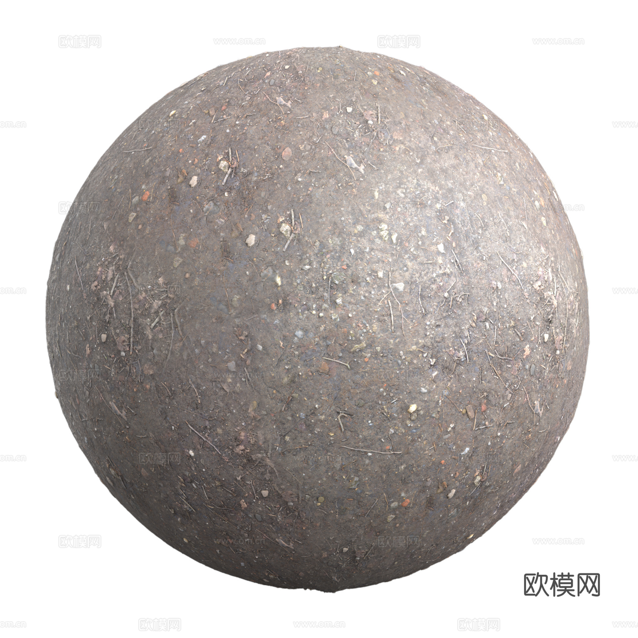 地面 土壤 自然 树枝 碎石
