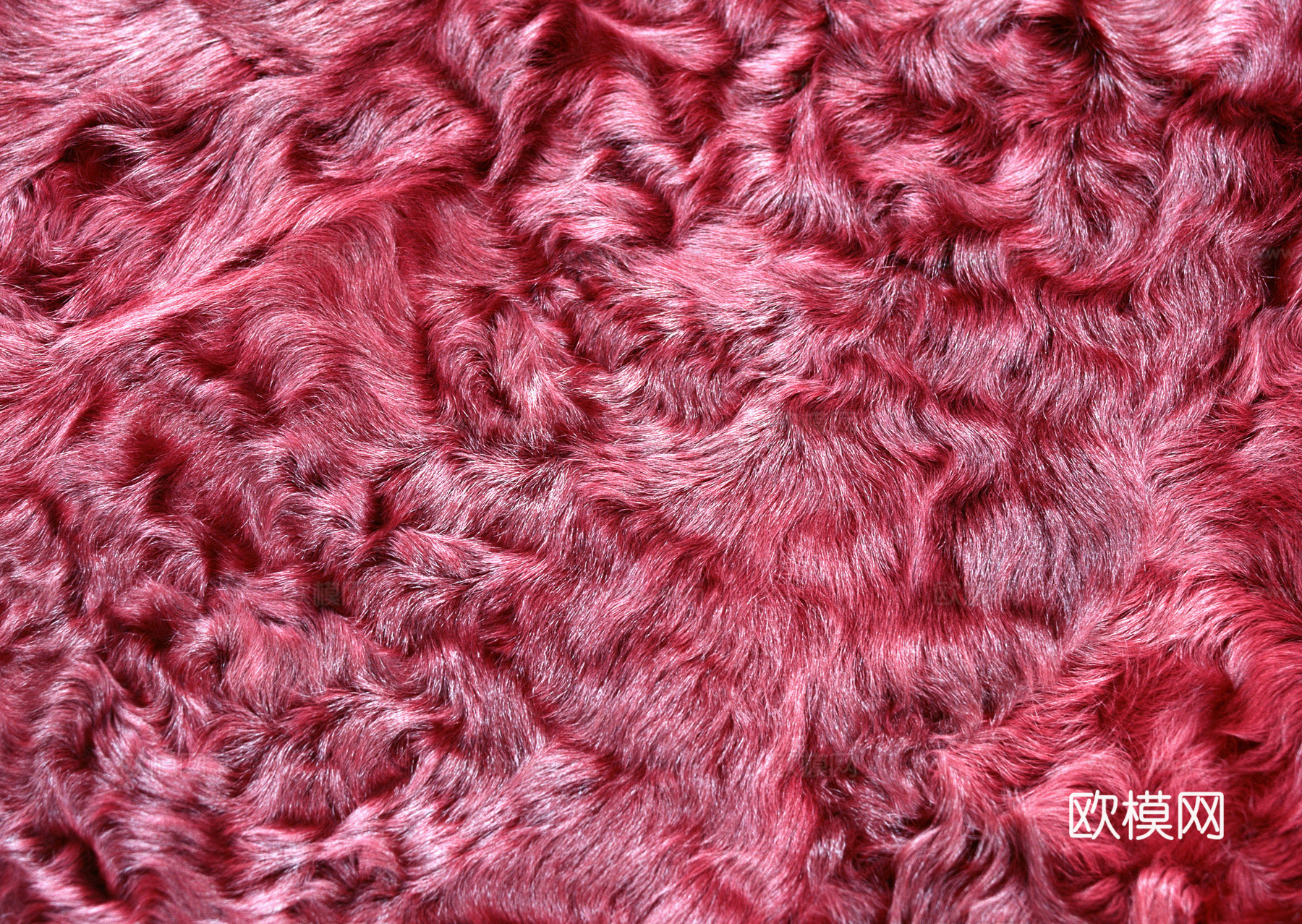 动物皮毛 毛发 地毯毛发 绒毛地毯 现代地毯下载