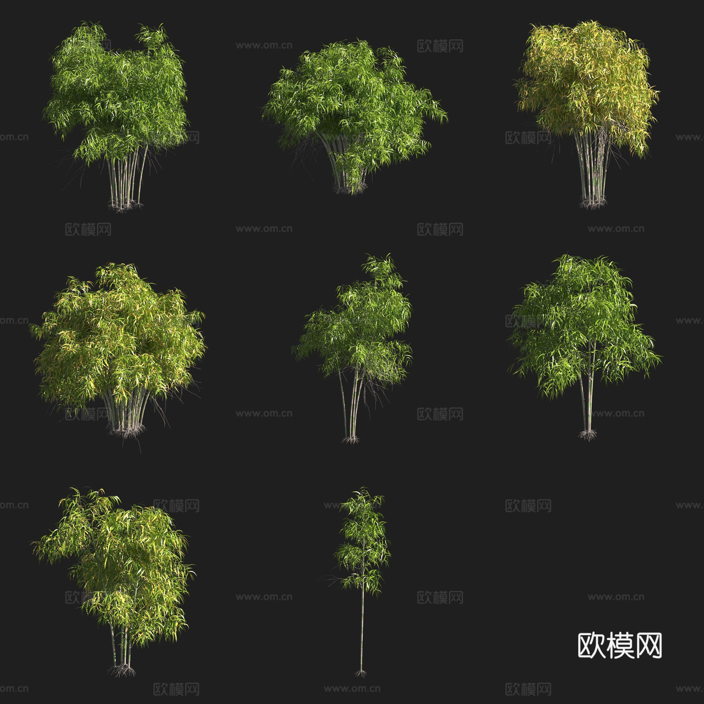 墨竹竹子竹林3d模型