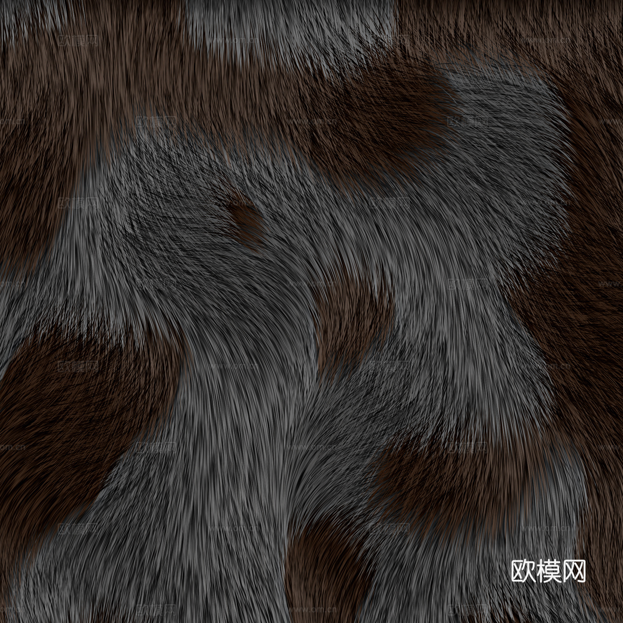 动物皮毛 毛发 地毯毛发 绒毛地毯 现代地毯下载