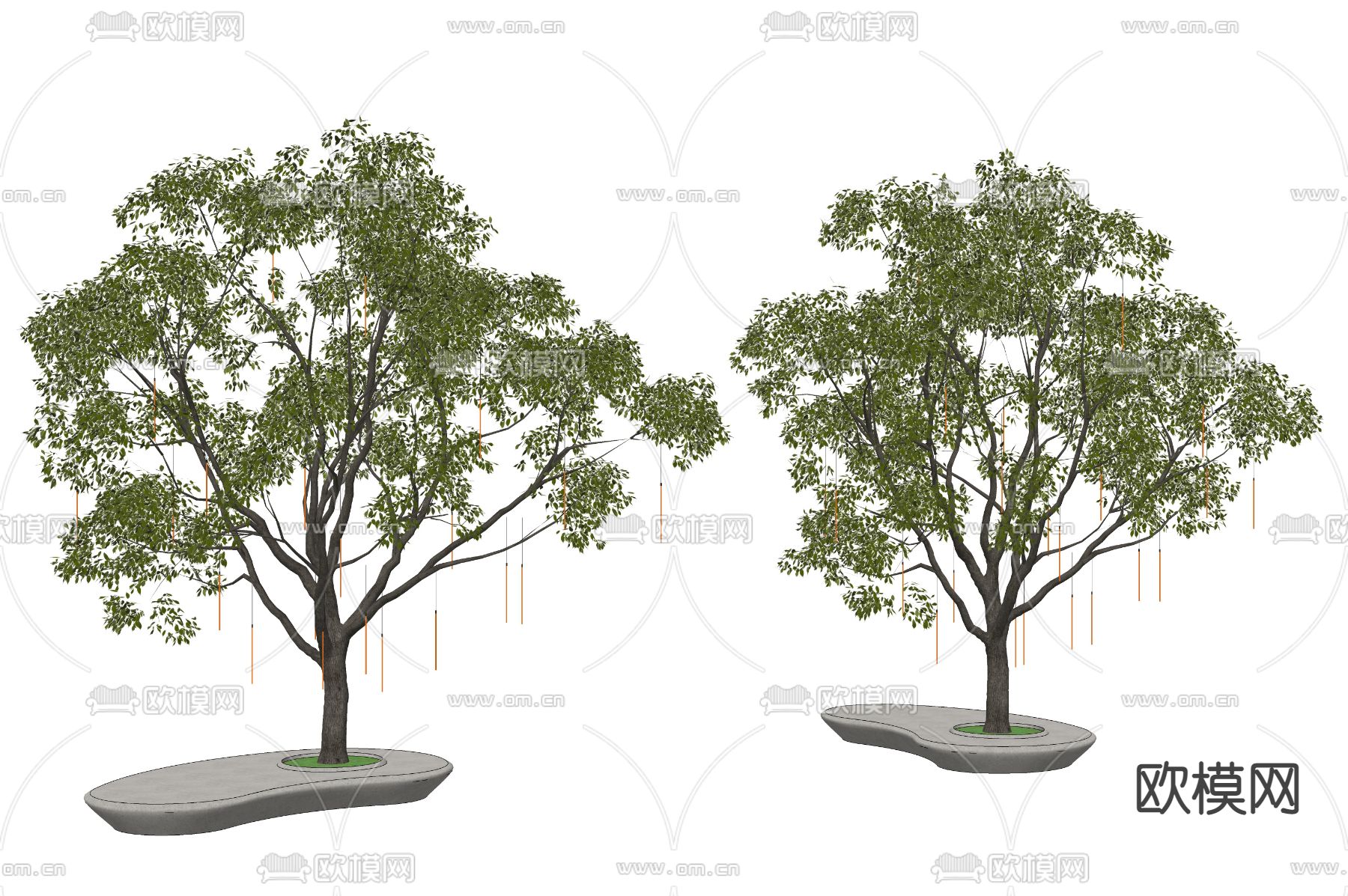 流星雨景观树 行道树su模型下载（渲染图1）