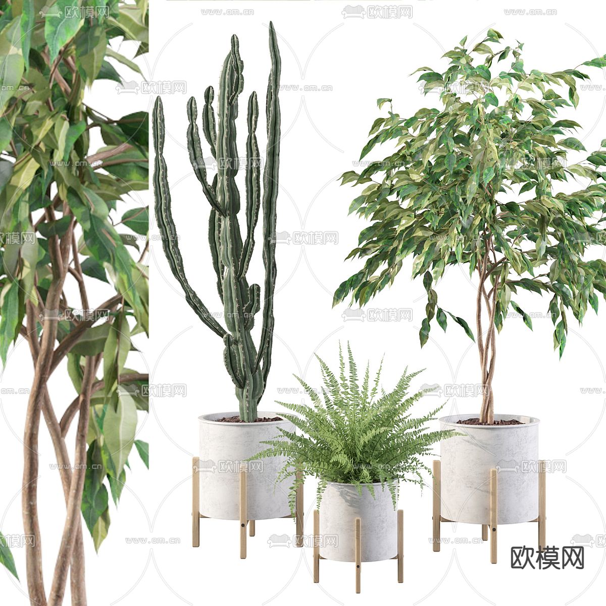 盆栽 盆景3d模型下载