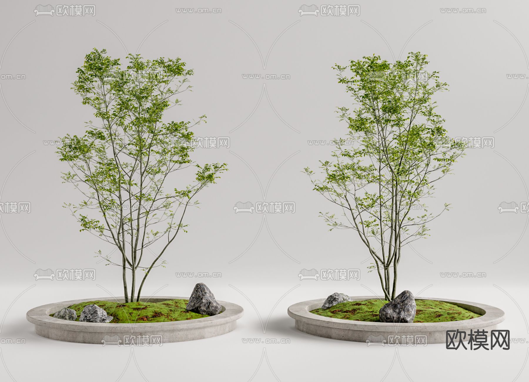 现代树池景观树su模型下载（渲染图1）