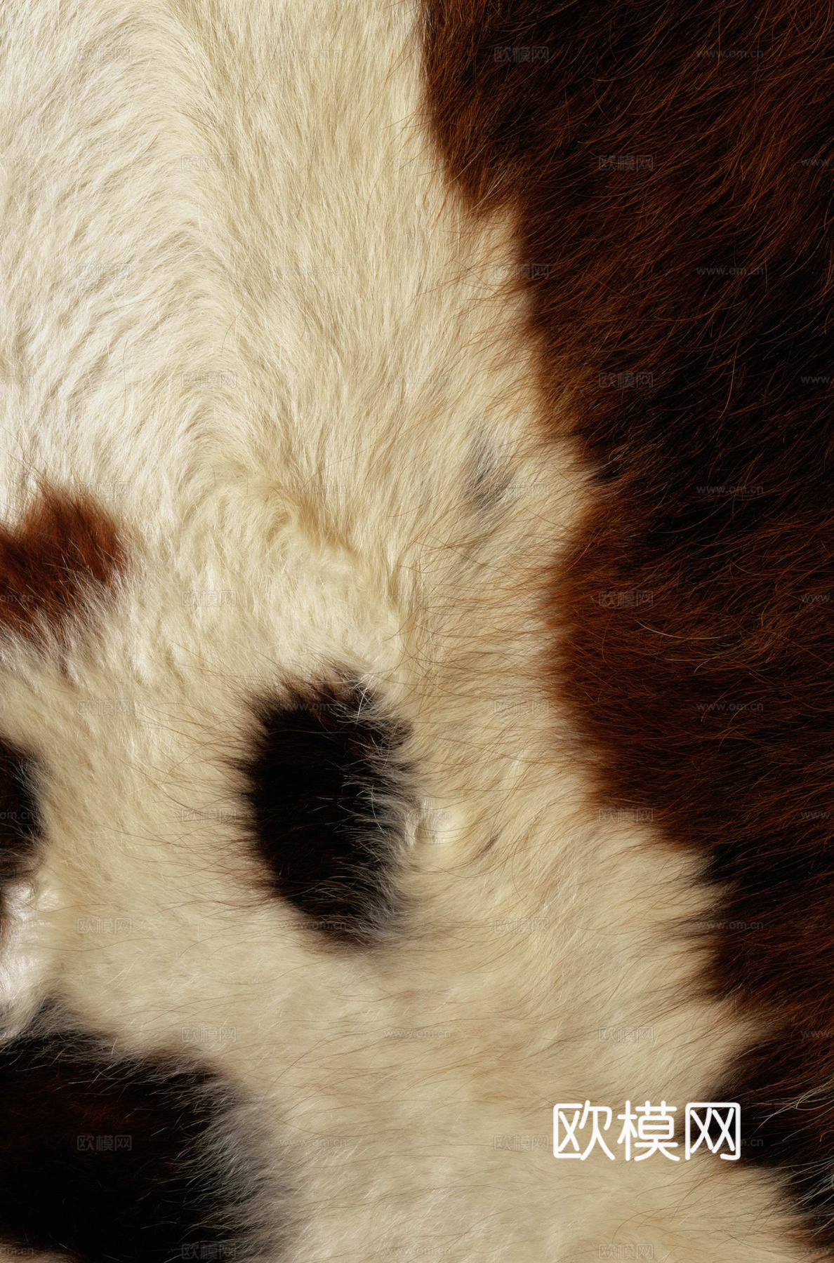 动物皮毛 毛发 地毯毛发 绒毛地毯 现代地毯下载