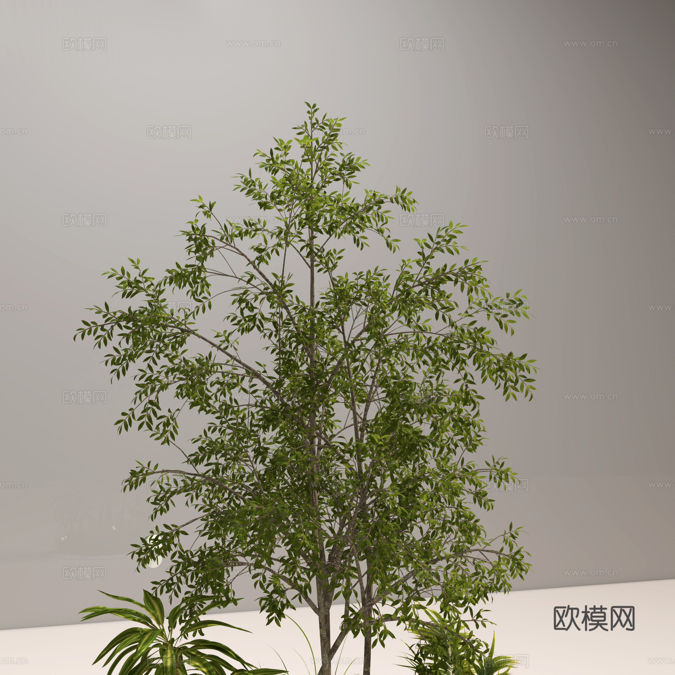 庭院景观小景 展厅景观小景 绿植景观小景 盆栽盆景 绿植3d模型