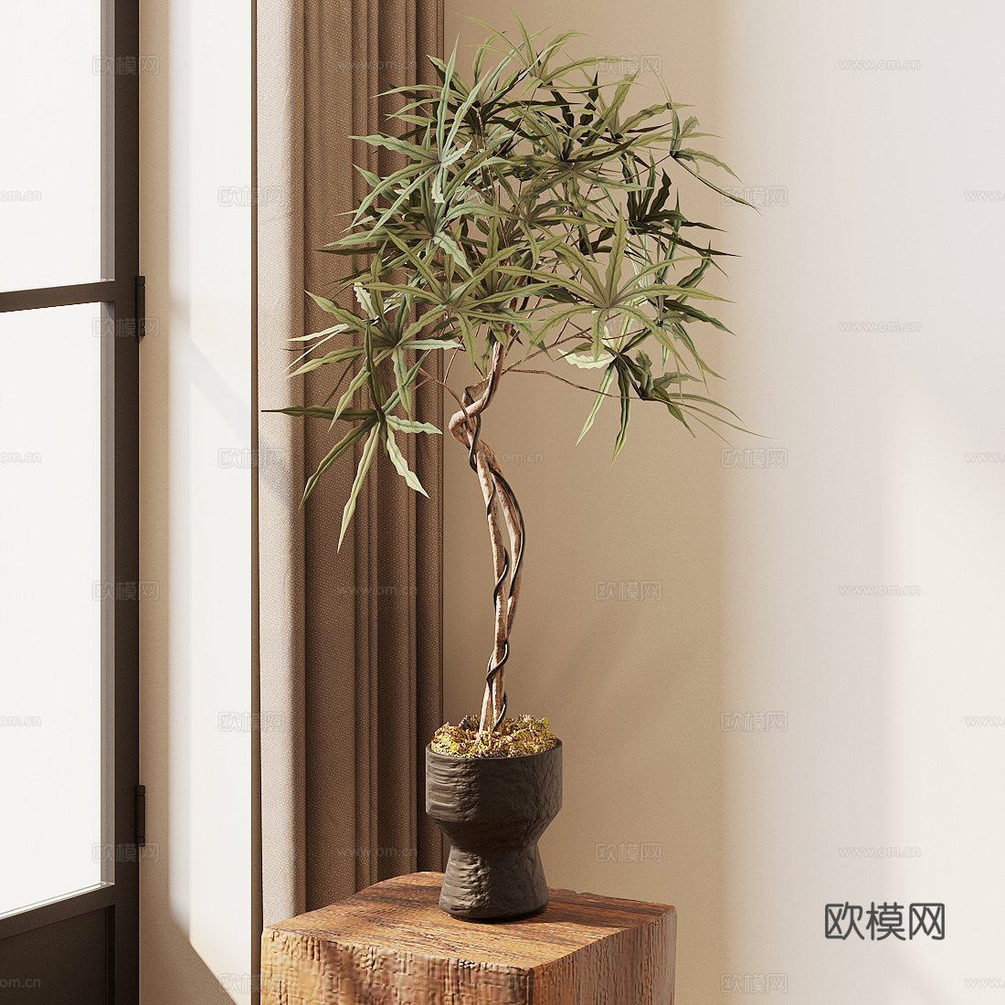 中古风盆栽 罗汉松su模型下载（渲染图2）