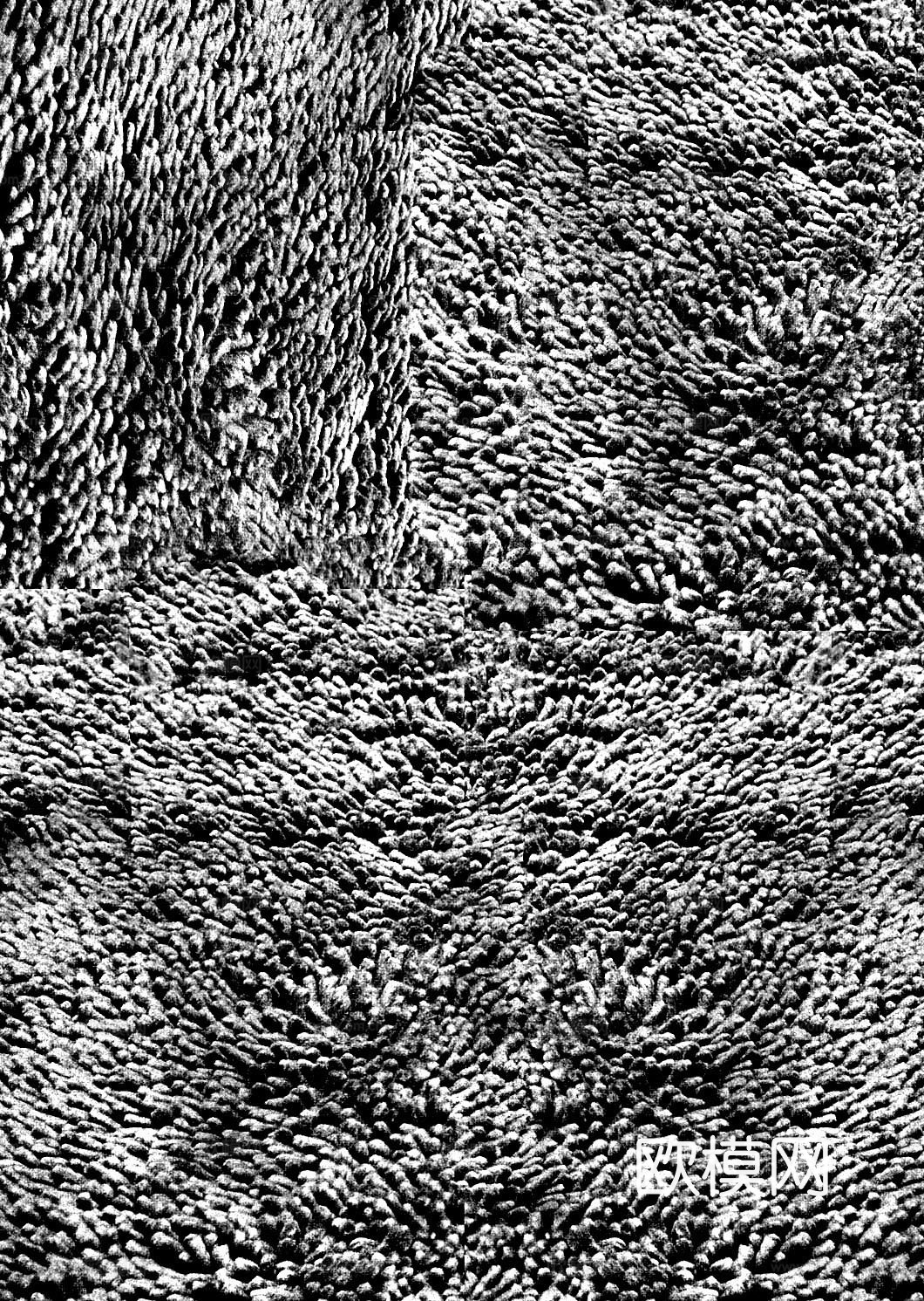 动物皮毛 毛发 地毯毛发 绒毛地毯 现代地毯下载