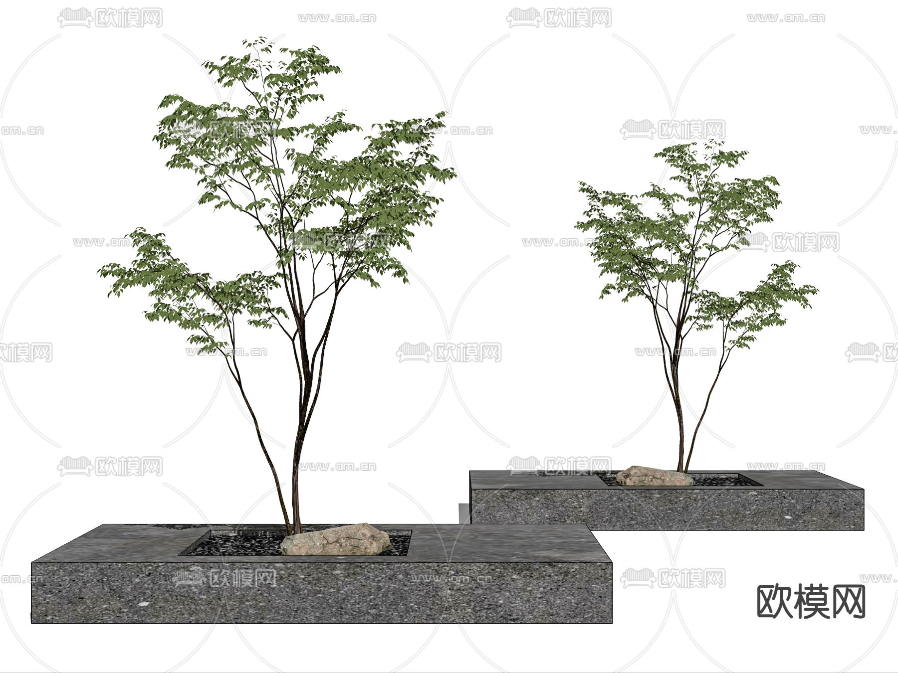 现代景观树su模型下载（渲染图2）