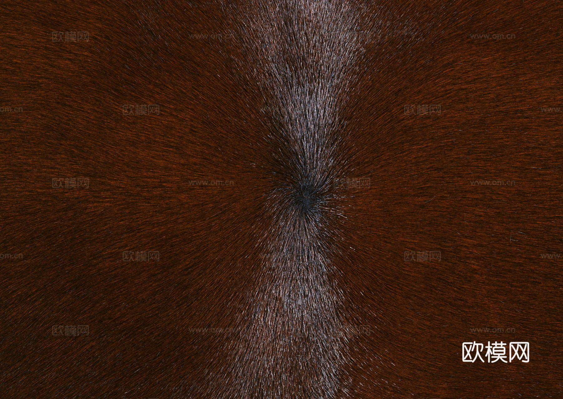 动物皮毛 毛发 地毯毛发 绒毛地毯 现代地毯下载