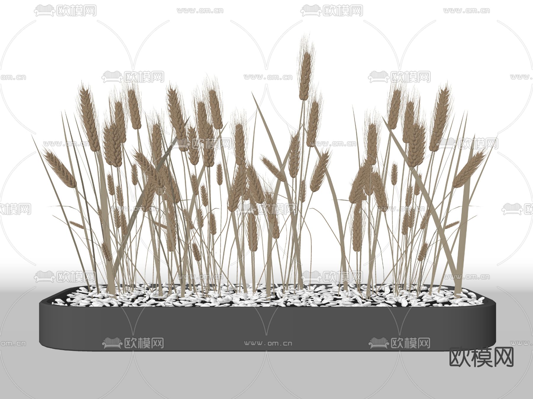 现代麦穗摆件su模型