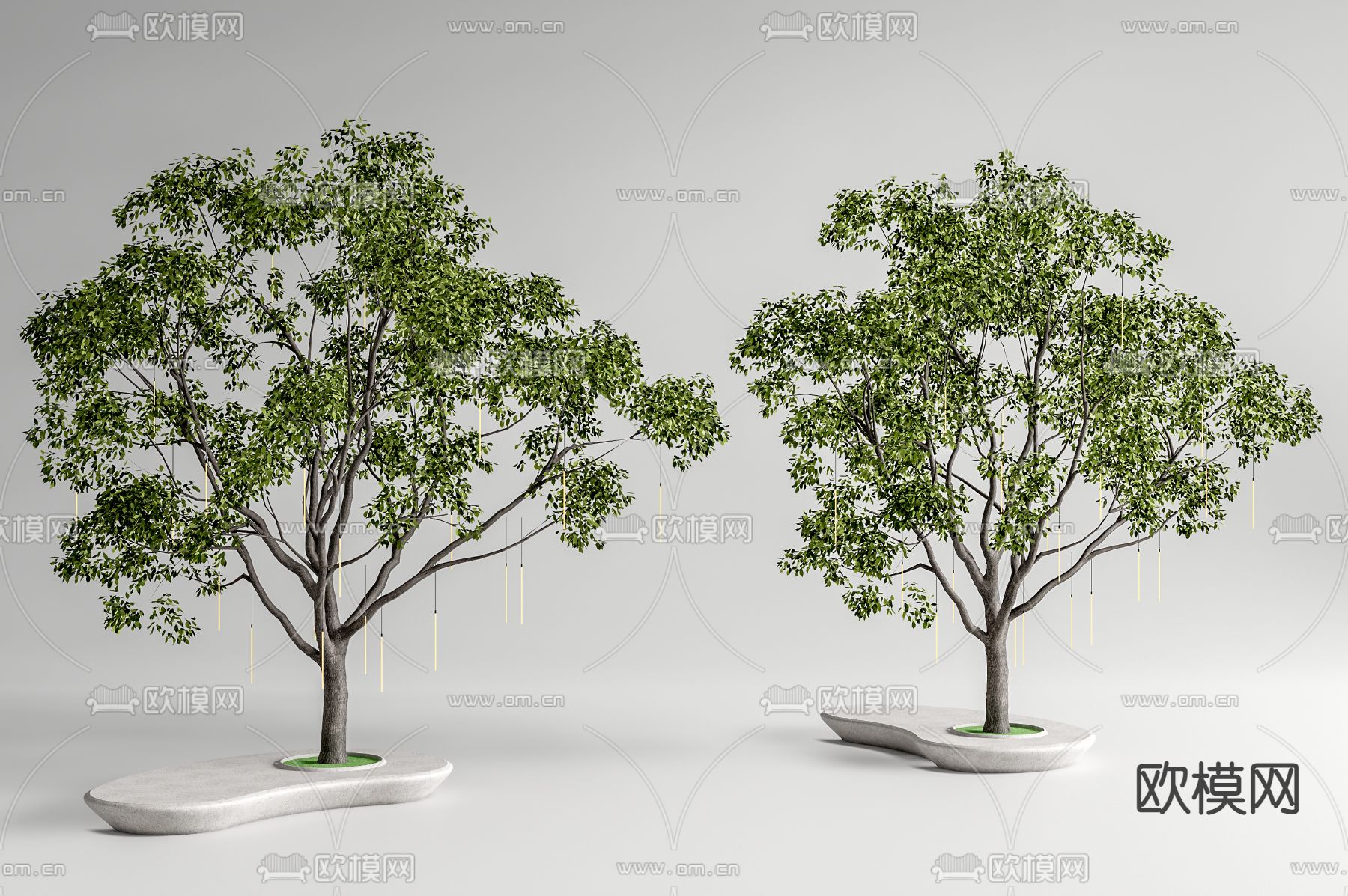 流星雨景观树 行道树su模型下载（渲染图2）