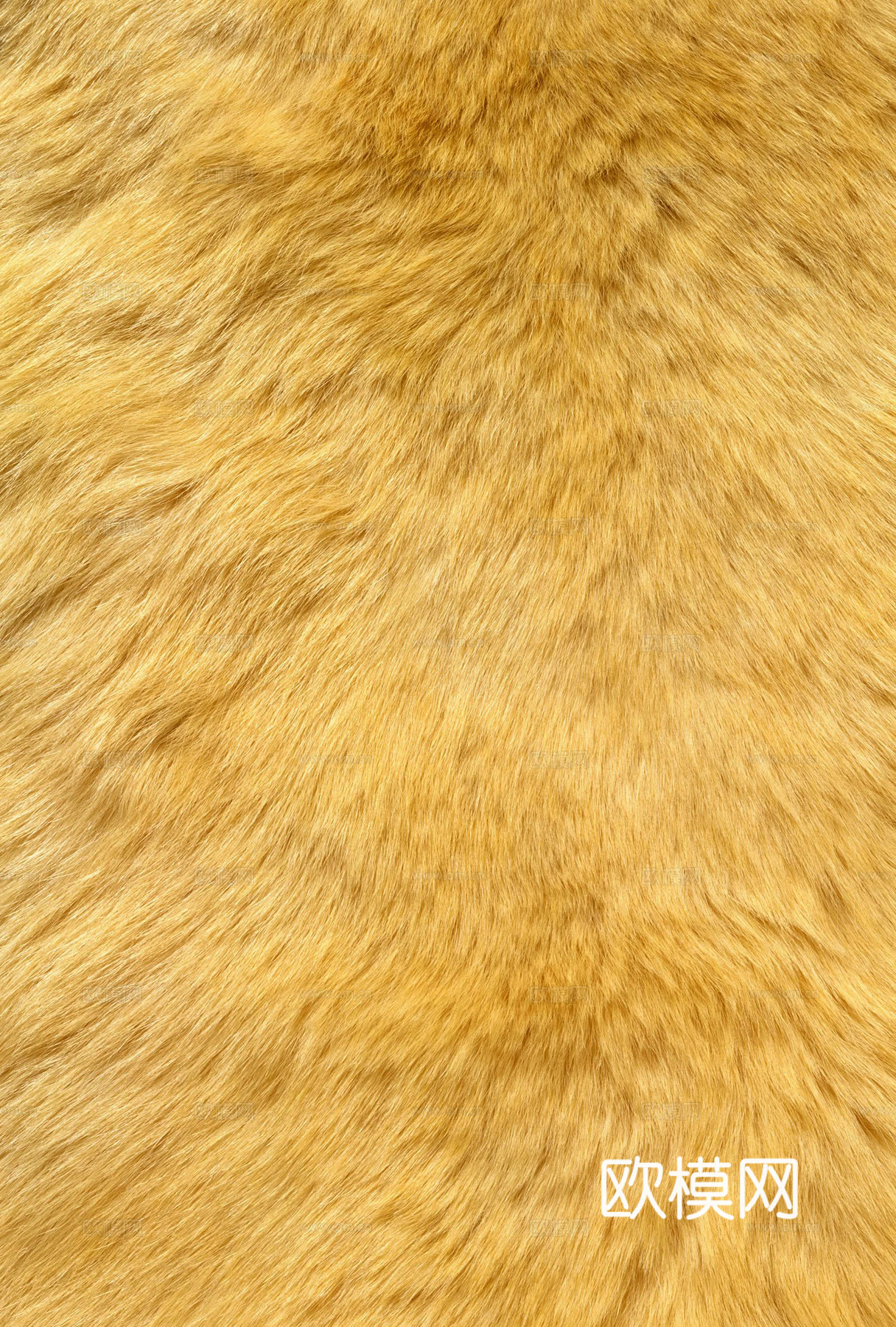 动物皮毛 毛发 地毯毛发 绒毛地毯 现代地毯下载