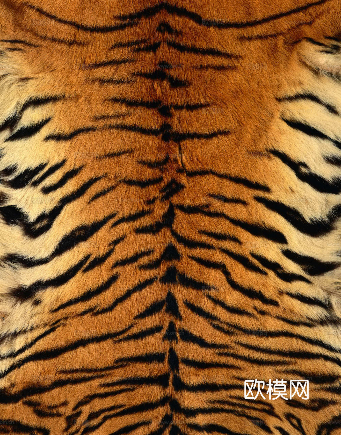 动物皮毛 毛发 地毯毛发 绒毛地毯 现代地毯下载