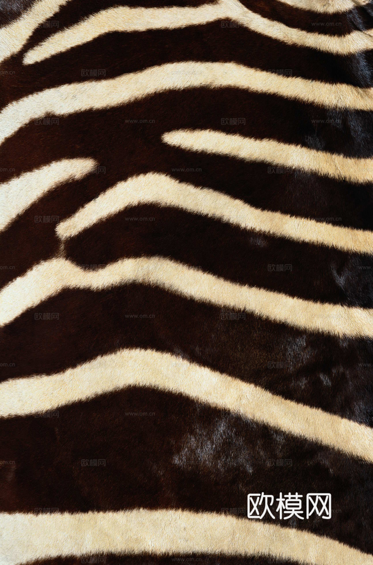 动物皮毛 毛发 地毯毛发 绒毛地毯 现代地毯下载